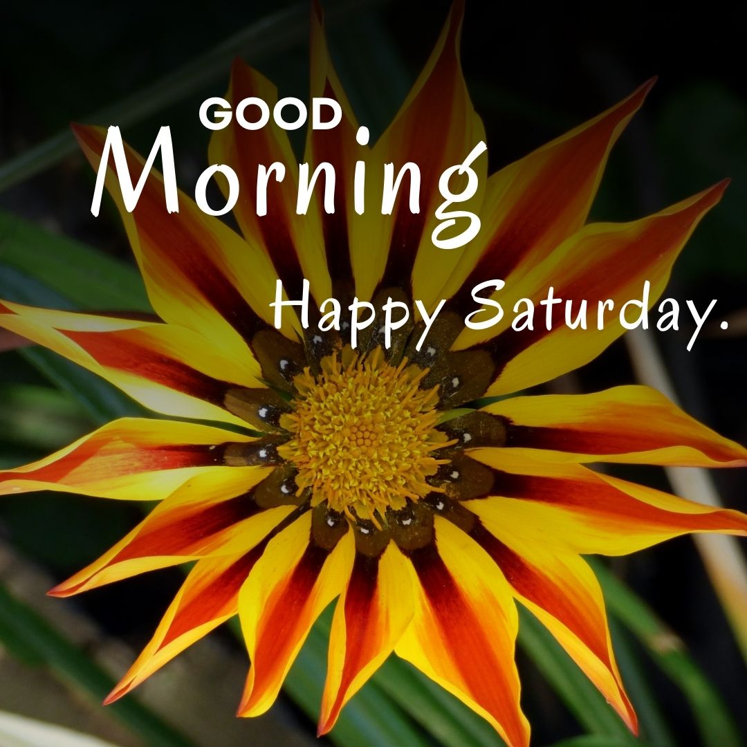 Good Morning Happy Saturday Image HD