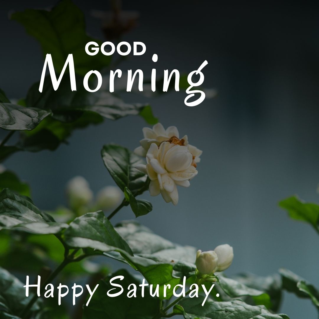 Good Morning Happy Saturday Image HD