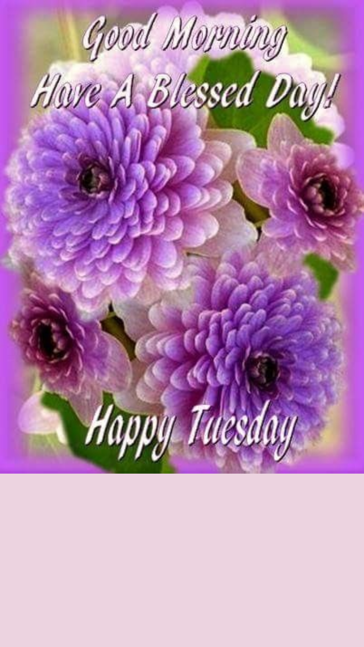 Happy Tuesday Greetings, Quotes