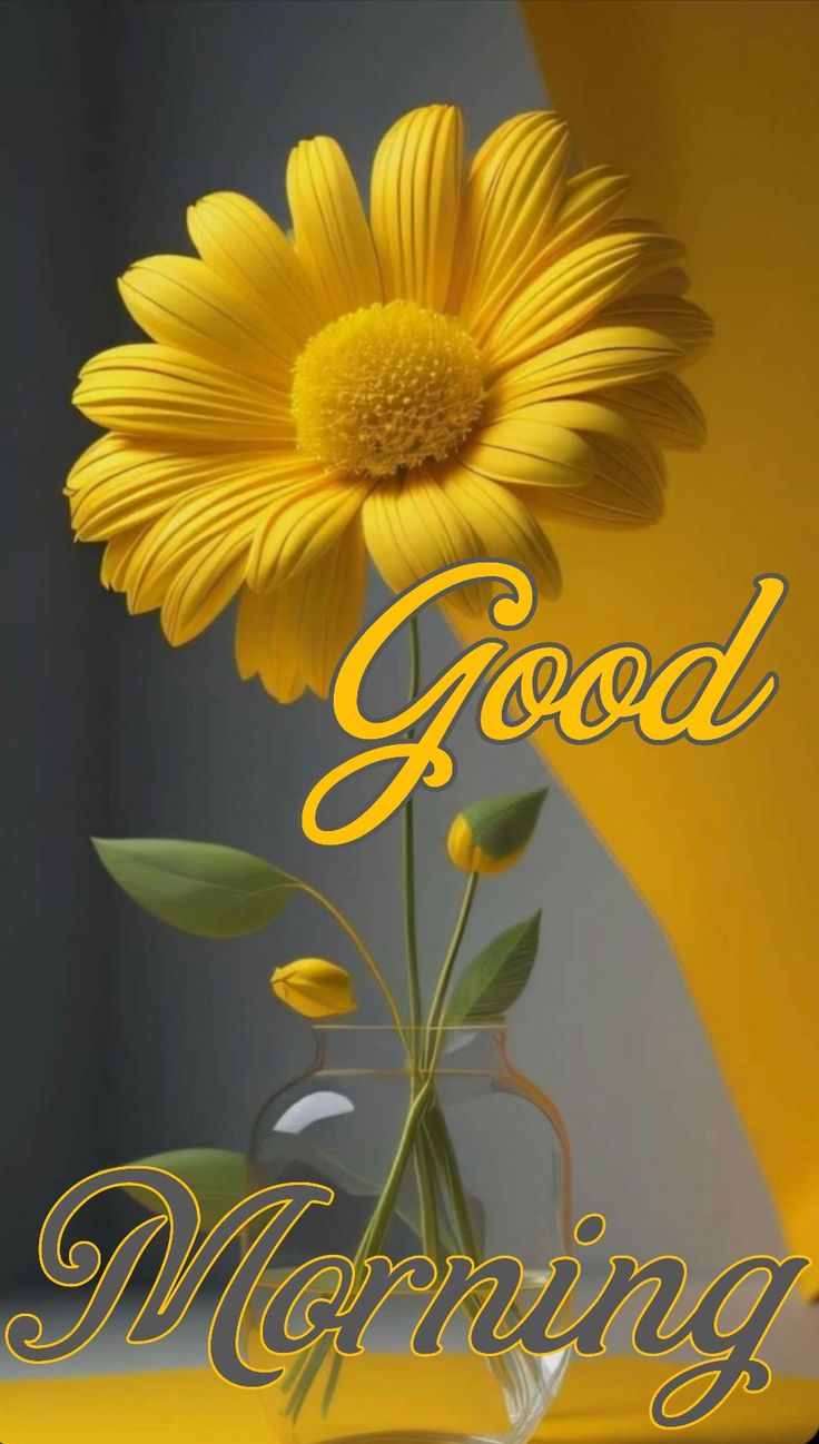 Hd good morning image. Happy good