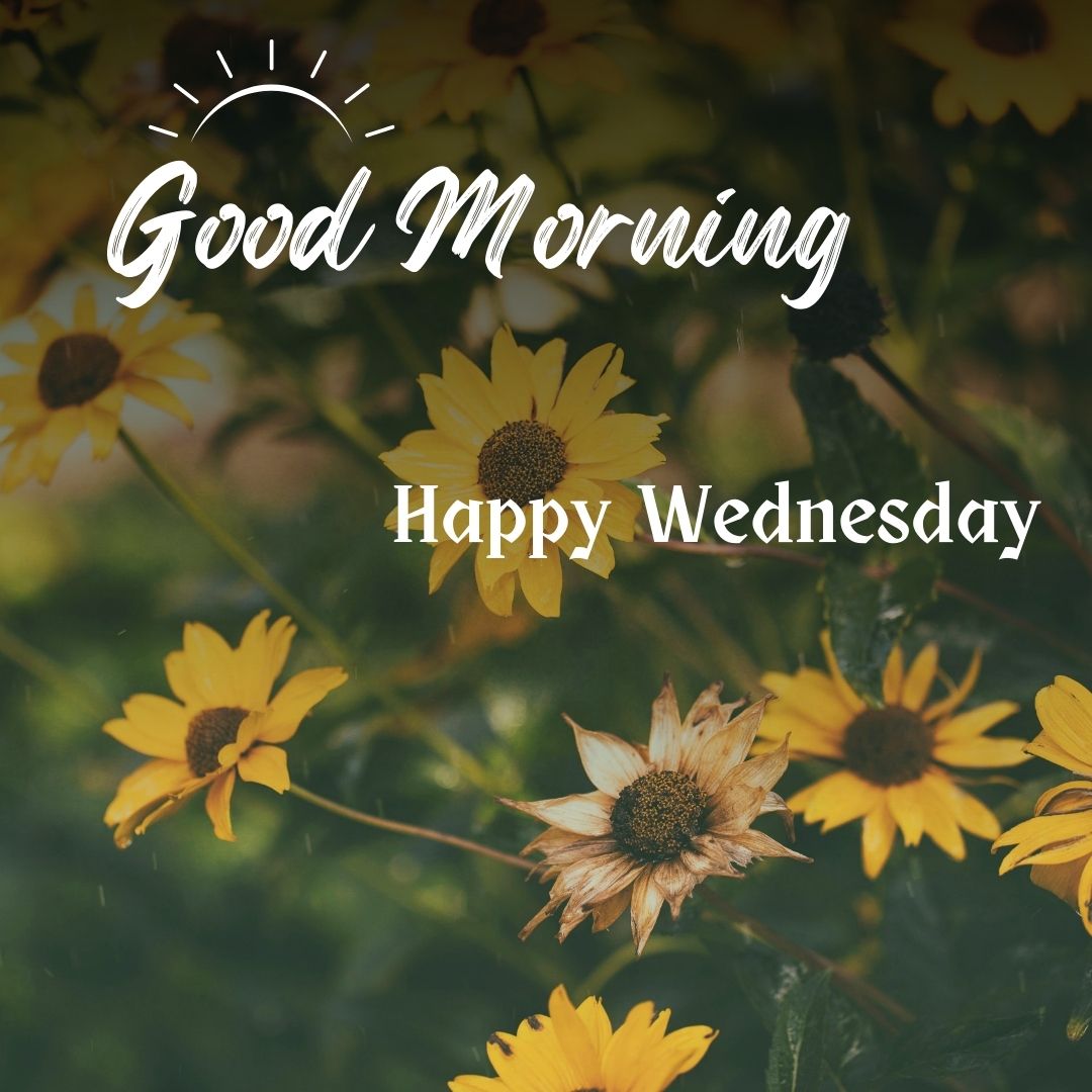 Good Morning Happy Wednesday Image HD