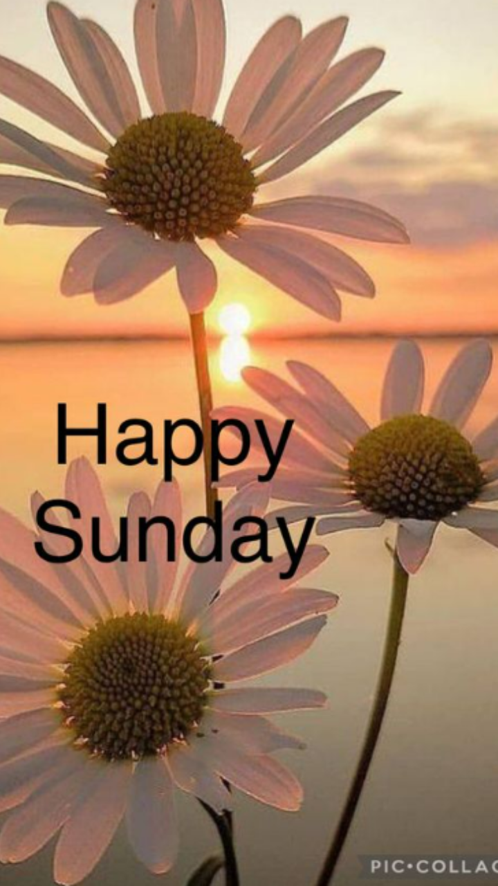Good Morning Happy Sunday Image