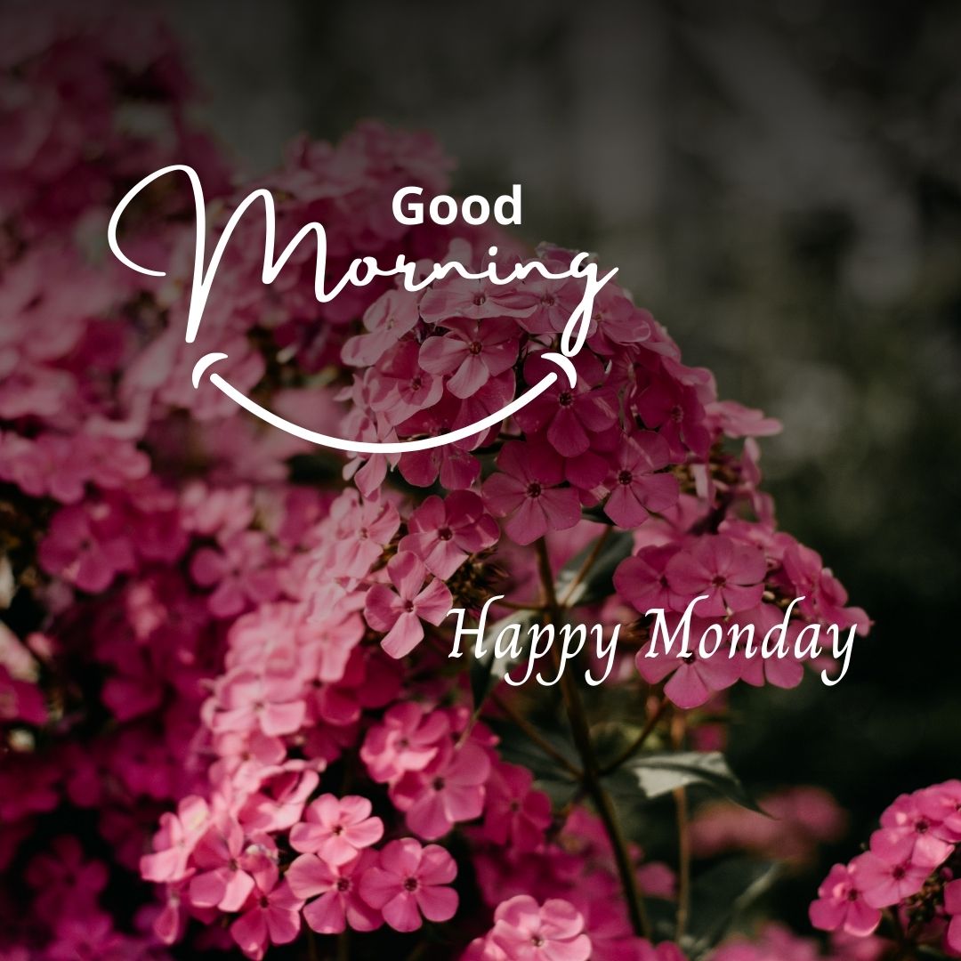 ᐅGood Morning Happy Monday Image