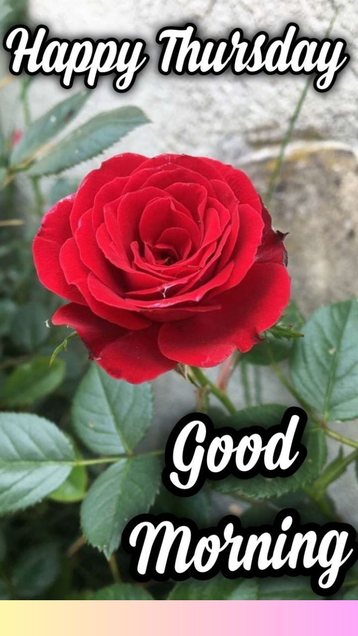 Positive Good Morning Greetings