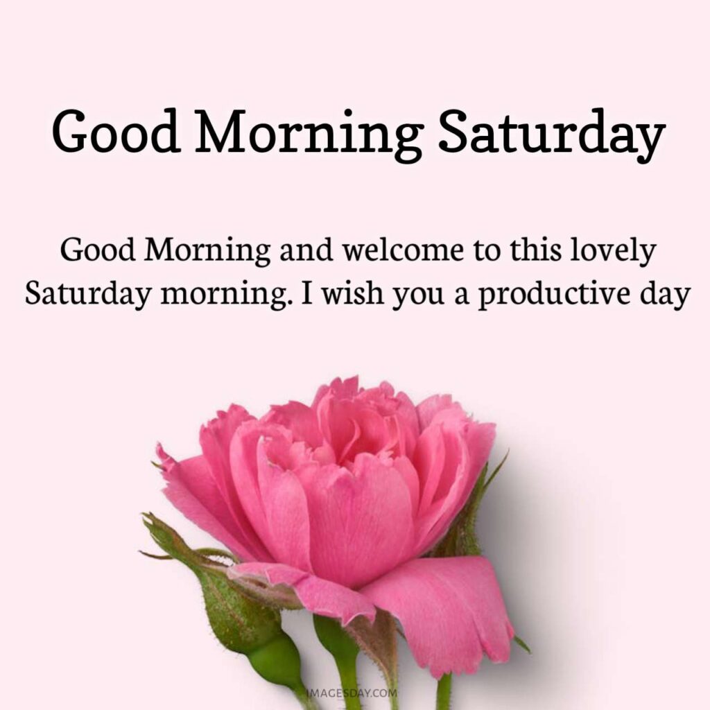 Saturday Good Morning Image & Quotes