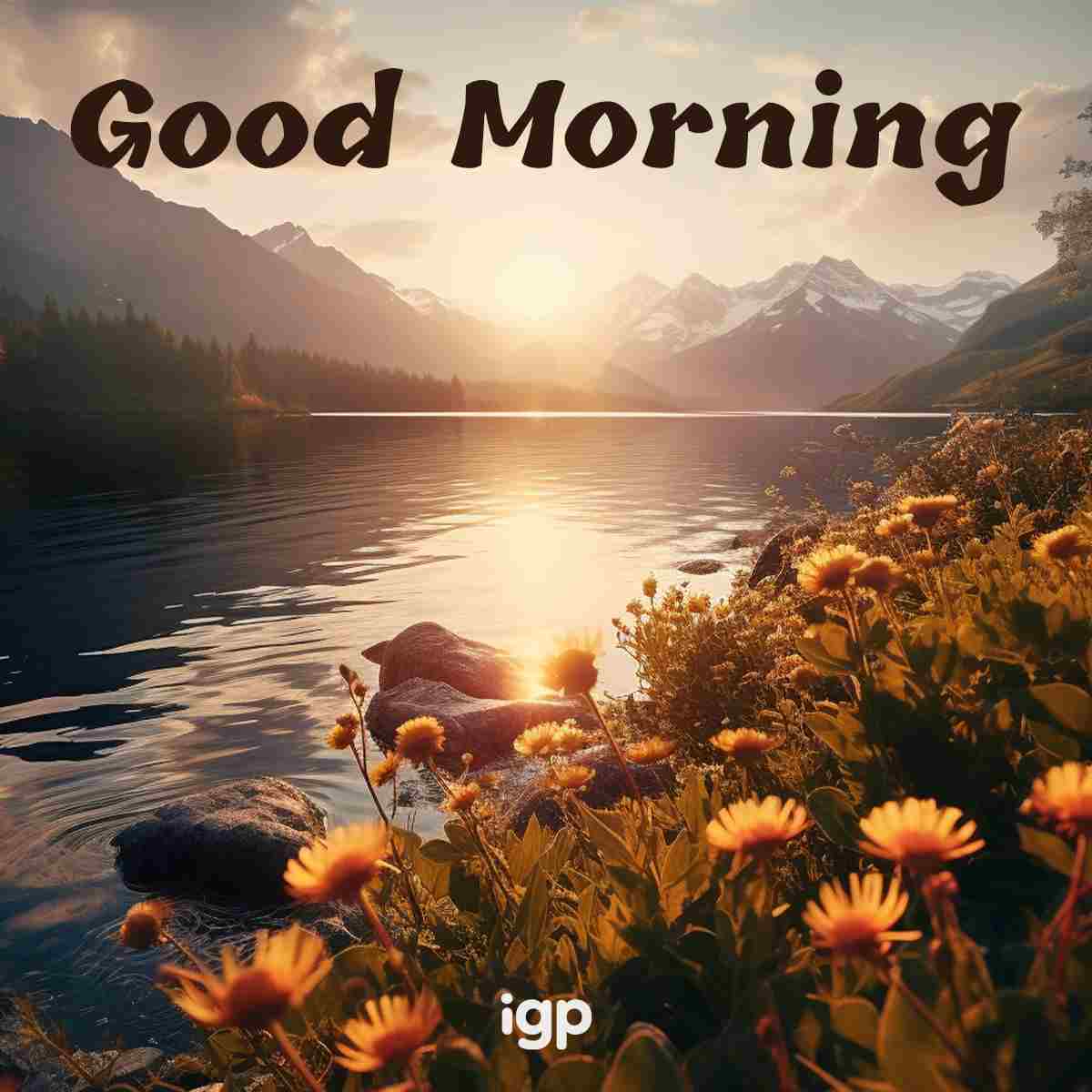 Stunning Good Morning Image Pic