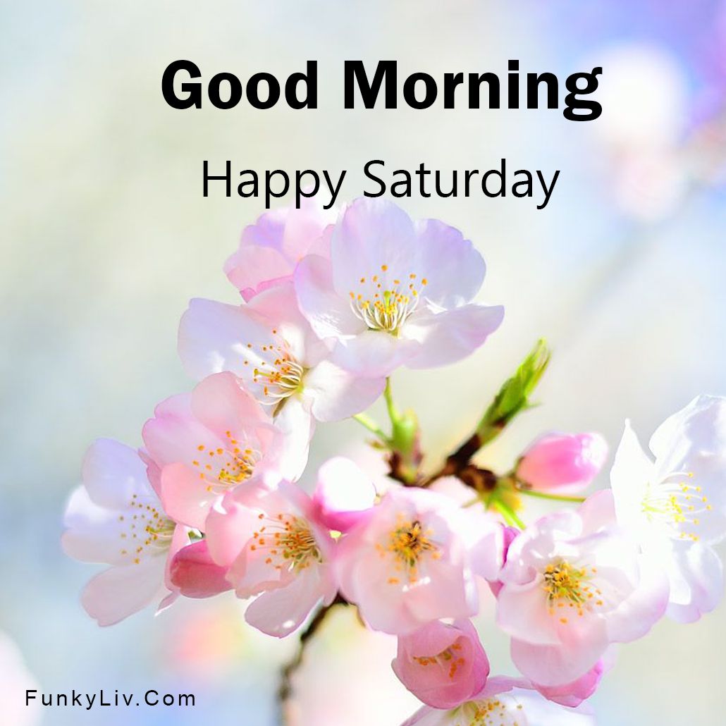 Happy Good Morning Saturday 2023 Image