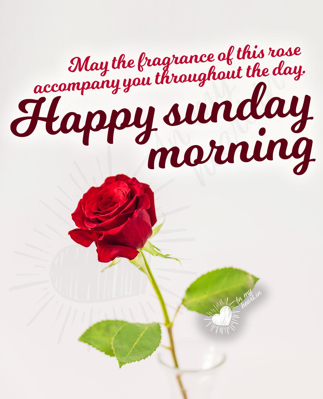 Happy Sunday Morning! Image and Quotes