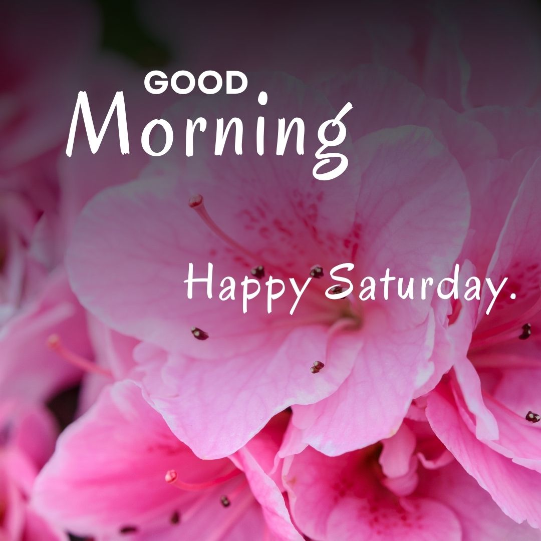 Good Morning Happy Saturday Image HD