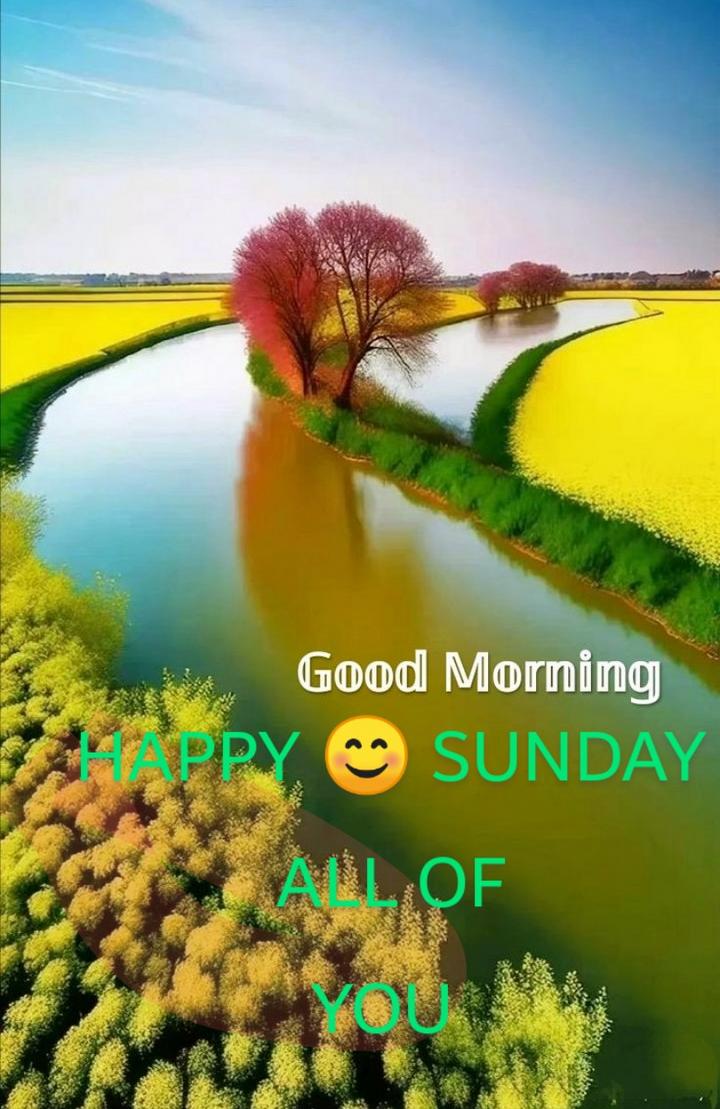 Happy morning Image • 0285