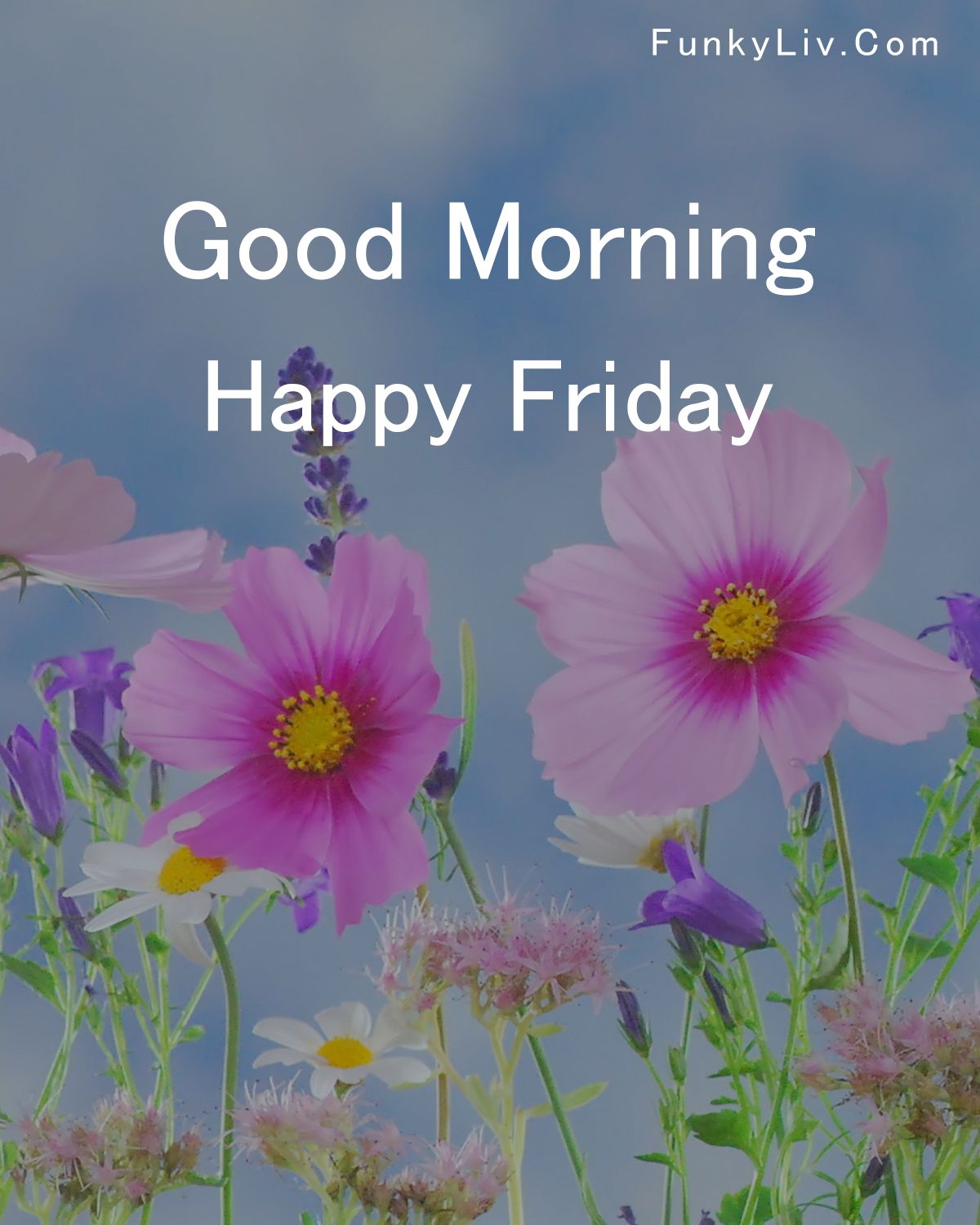 Good Morning Friday Image 2023