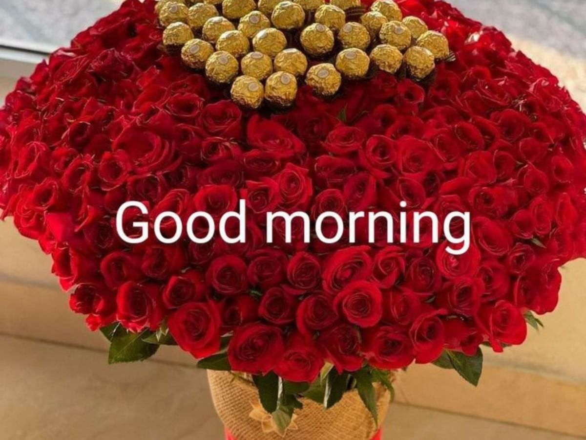 Happy Rose Day 2024 Good Morning image