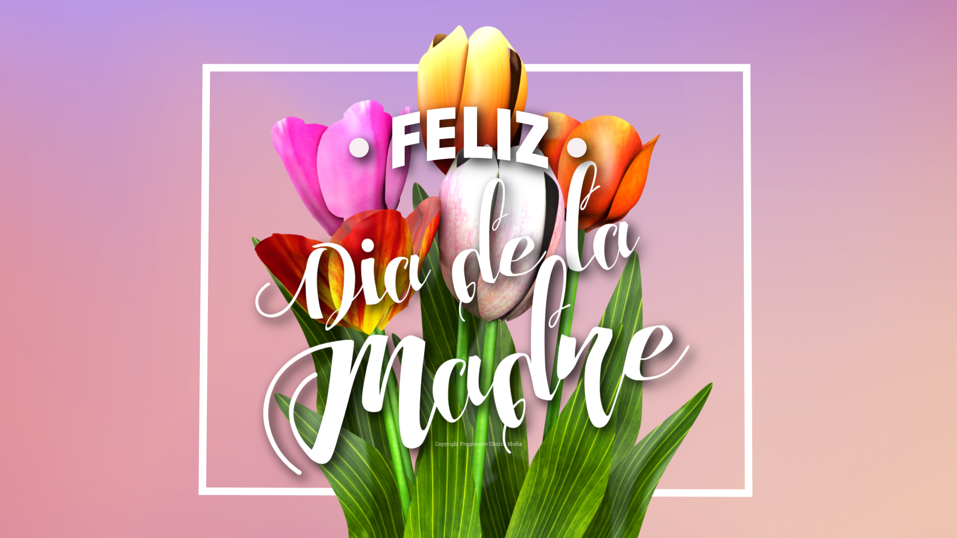 Mothers Day Tulips Video