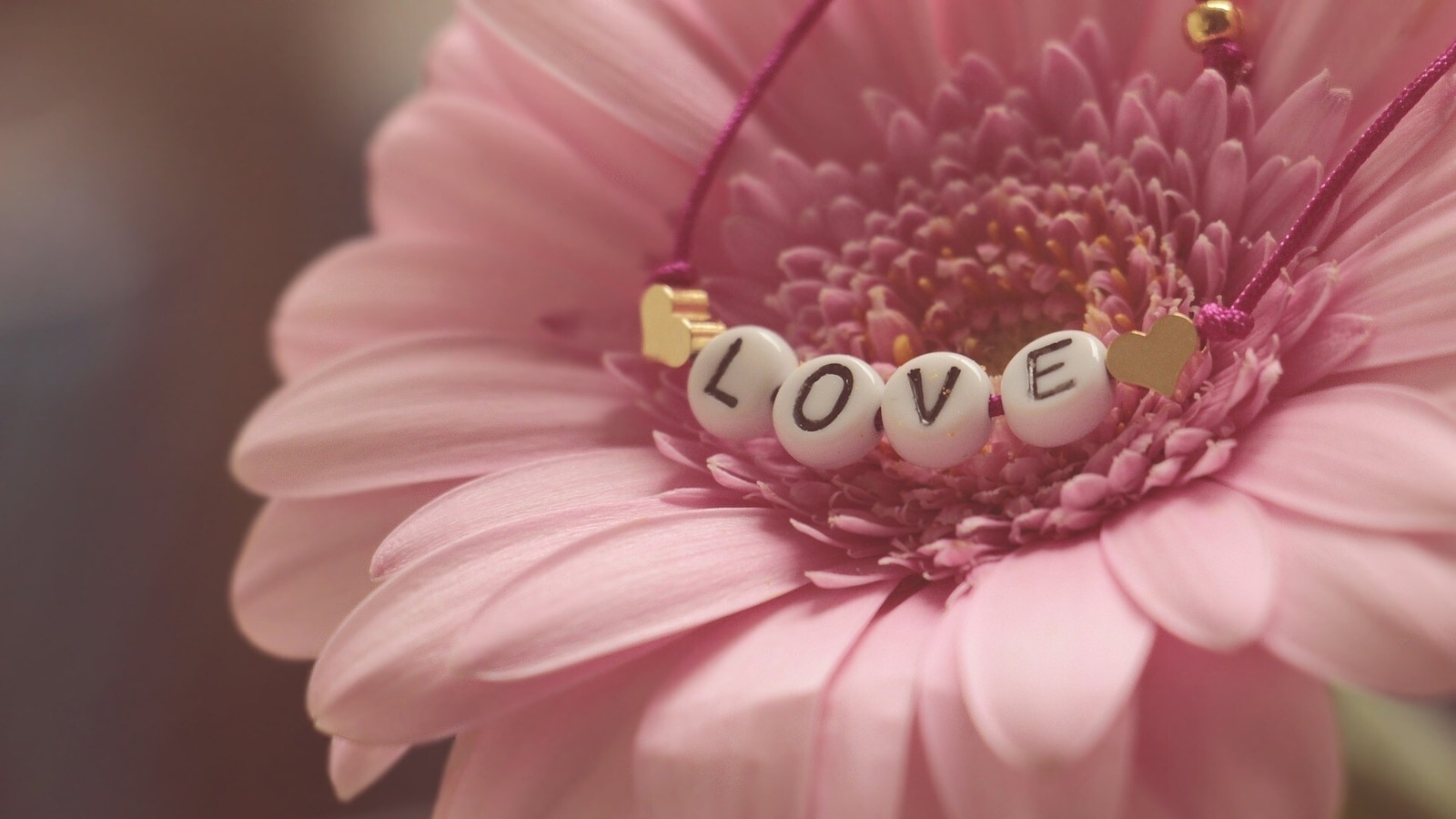 HD wallpaper and image