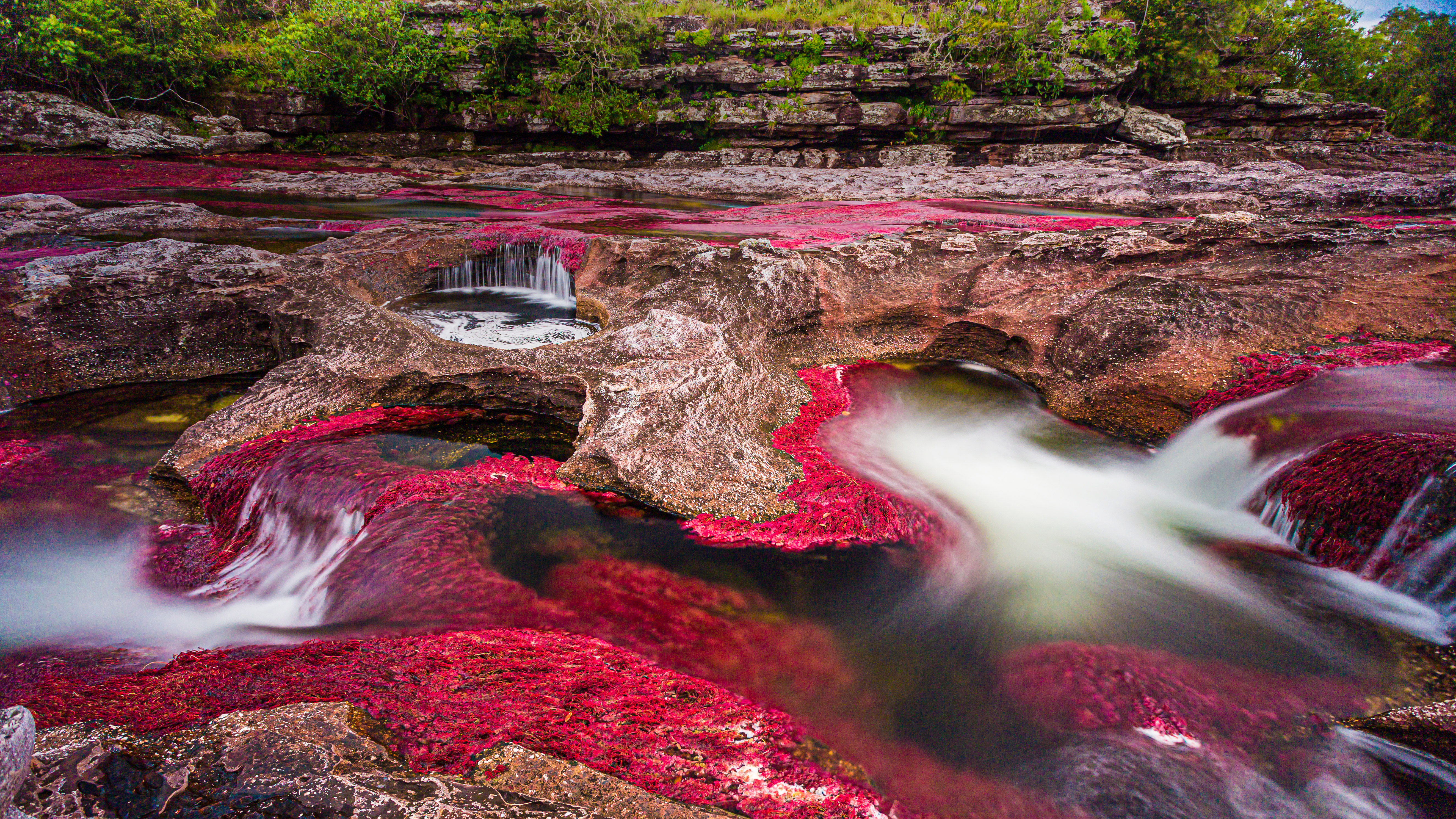 Caño Cristales Wallpaper 4K, River