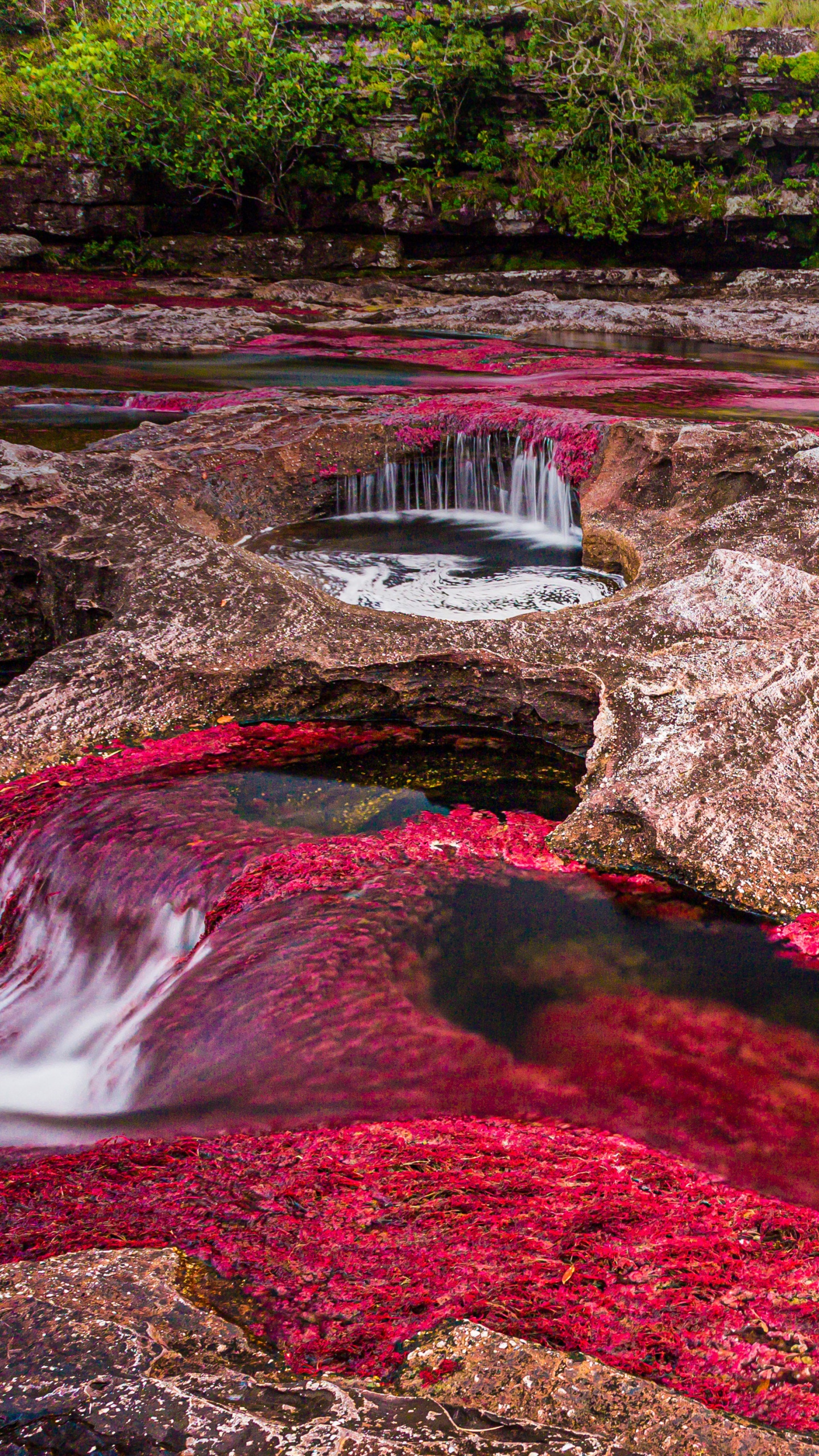 Caño Cristales Wallpaper 4K, River