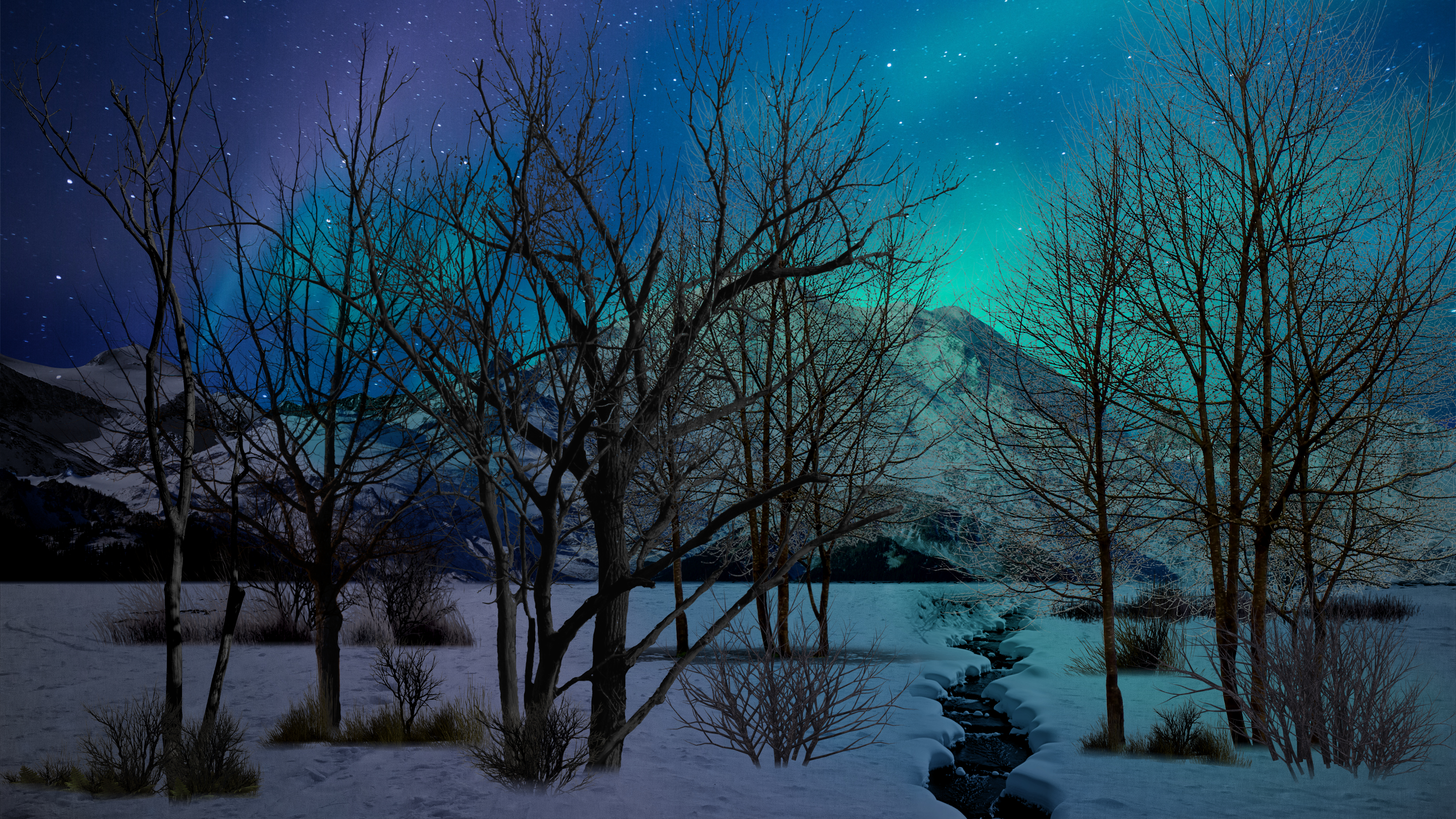Aurora Night (4K Wallpaper)