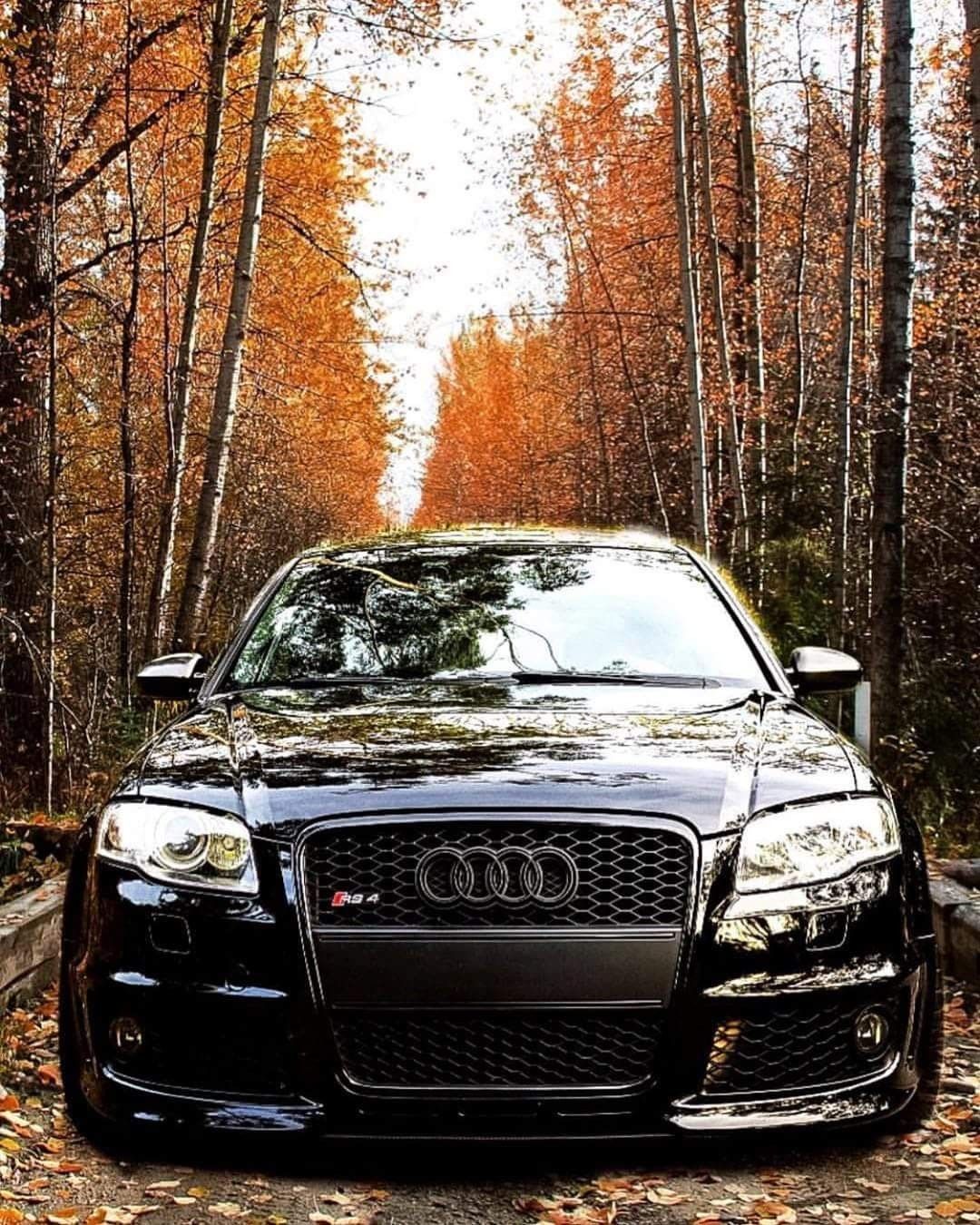 Audi RS4. Audi a4 b7 Car Wheels Rims