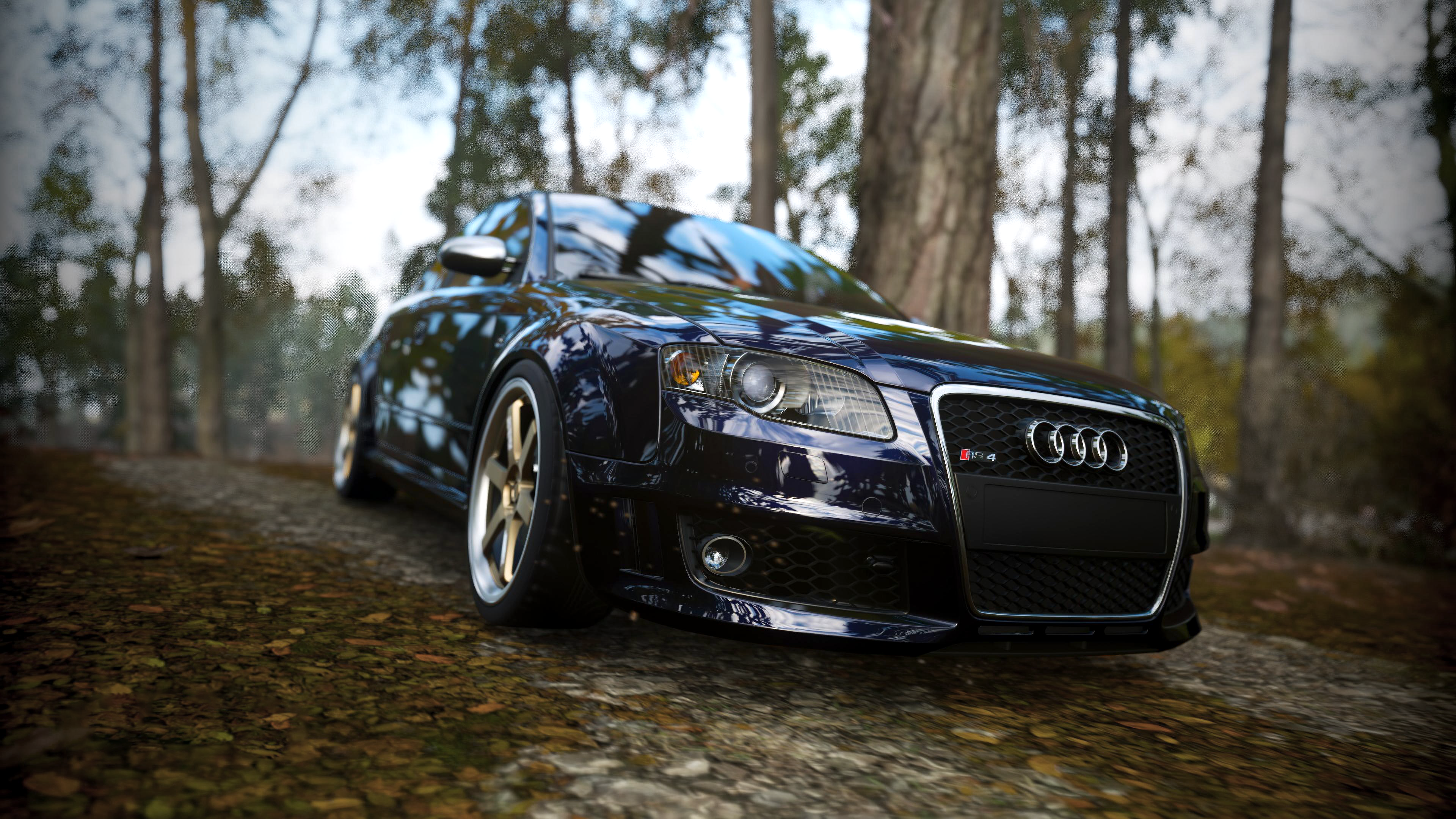 Audi RS4 in a forest during fall