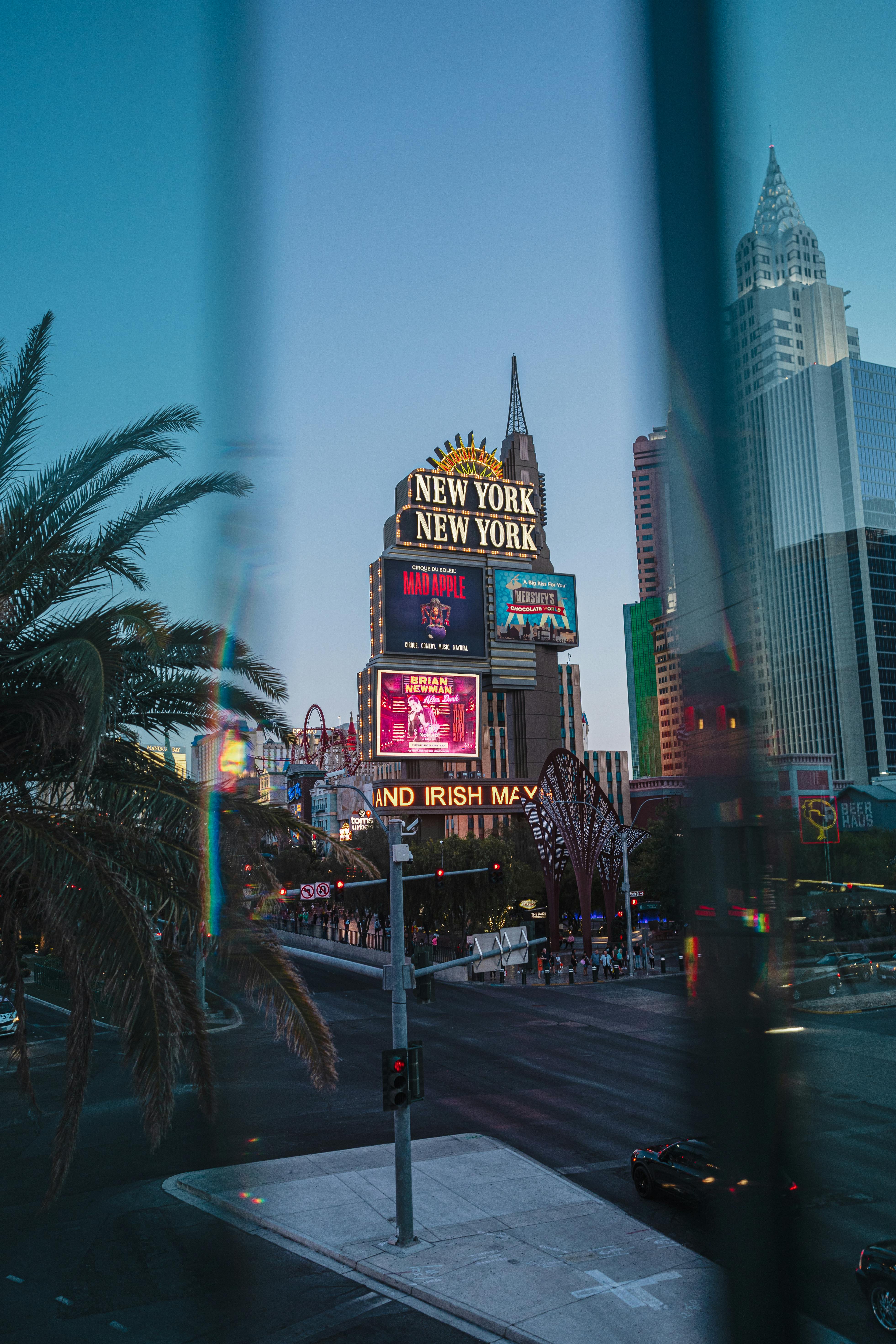 Las Vegas Skyline Photo, Download