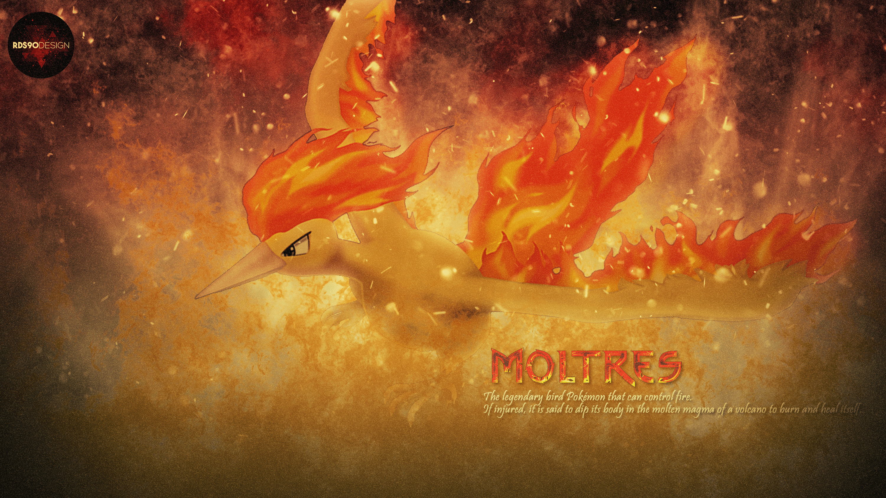 A wild Moltres wallpaper appeared! Let