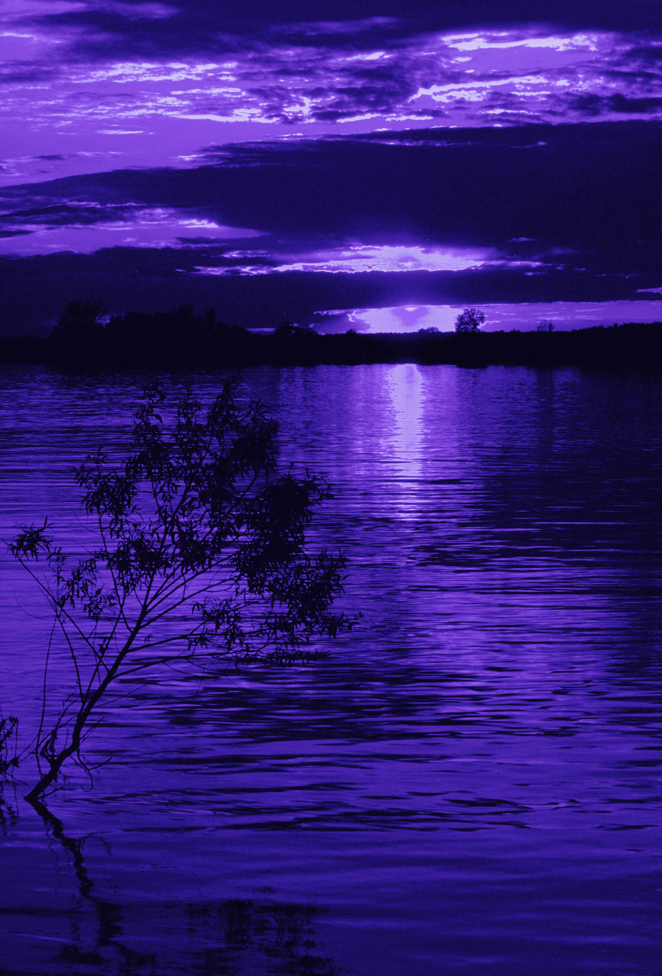 Inspirational Purple Sunset Landscape