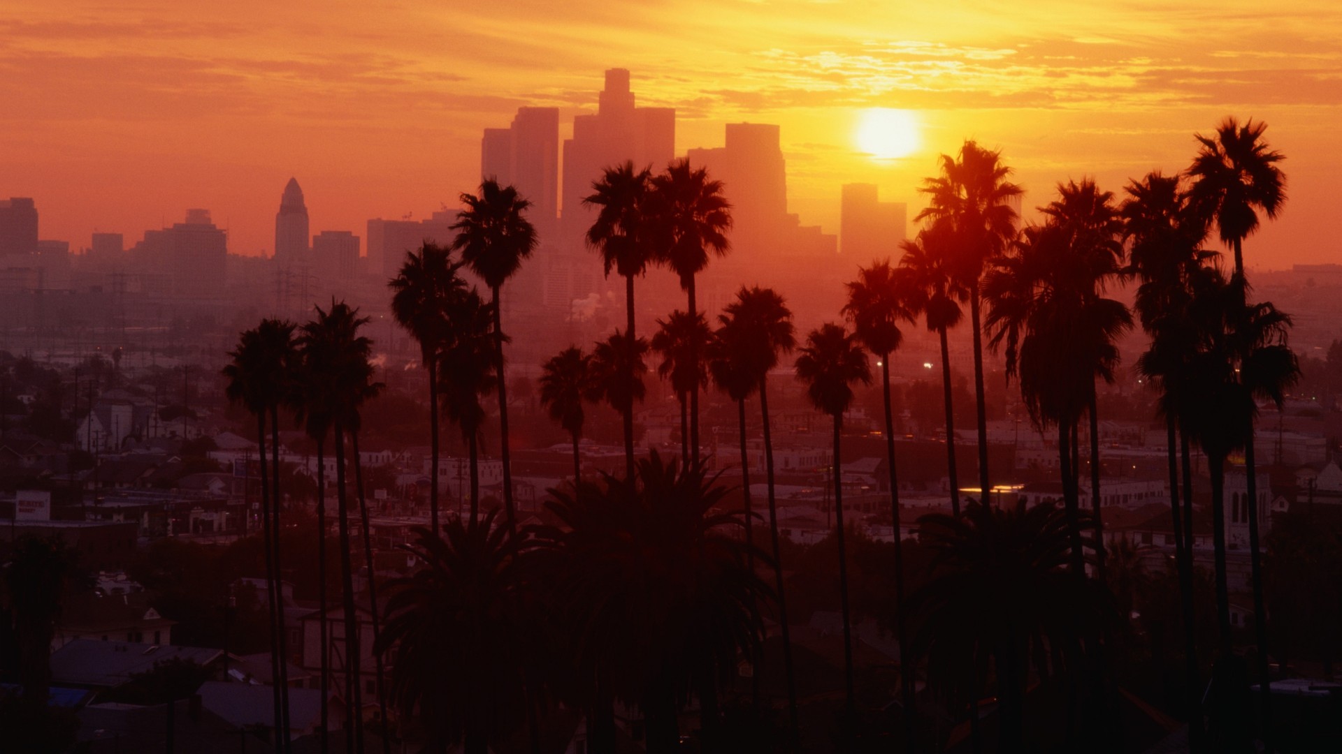 Los Angeles at sunset