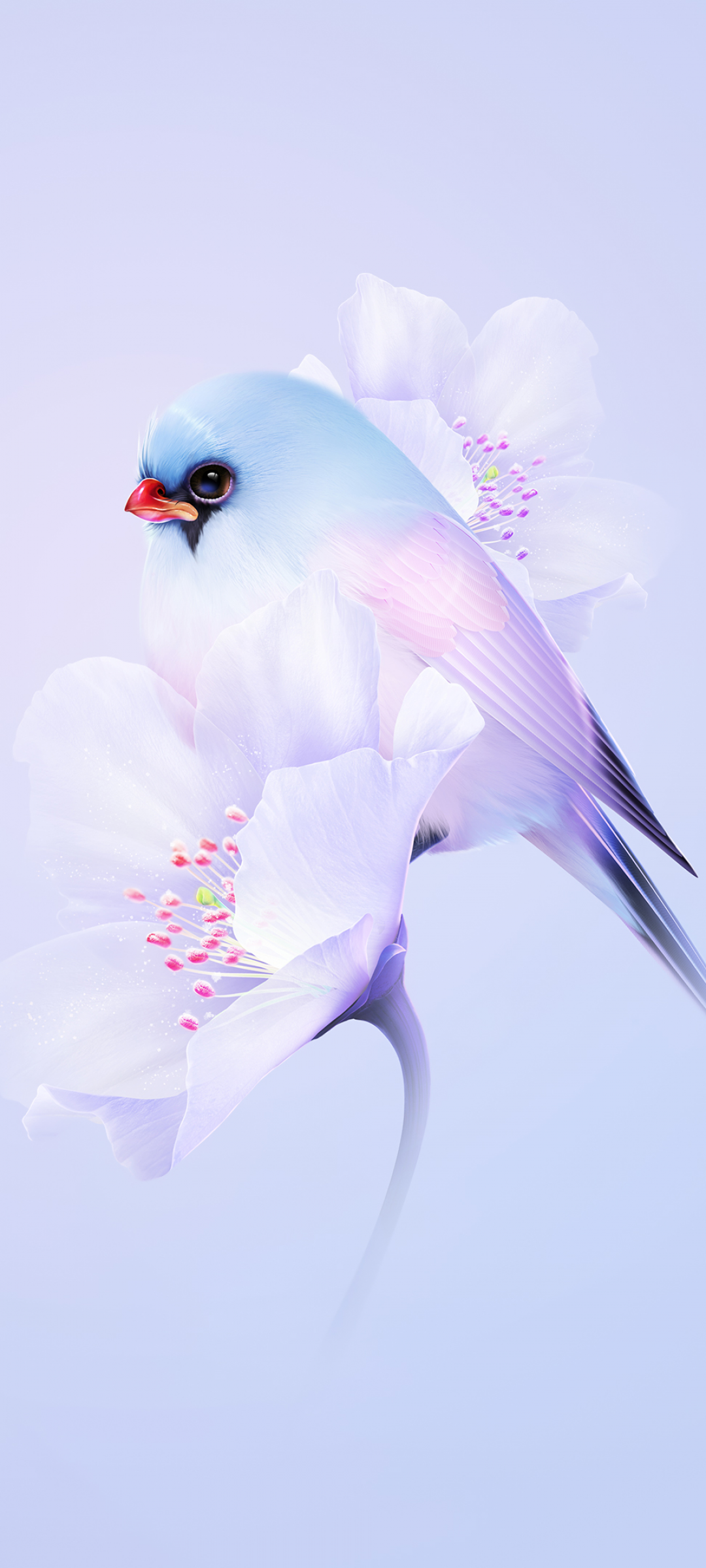 Cute bird Wallpaper 4K, Cherry blossom