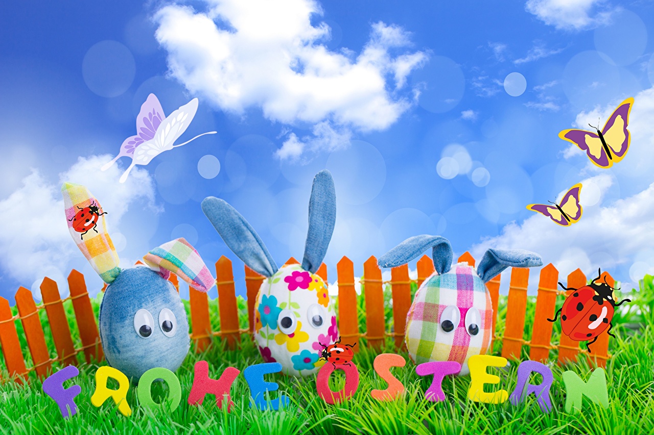 Desktop Wallpaper Easter butterfly egg