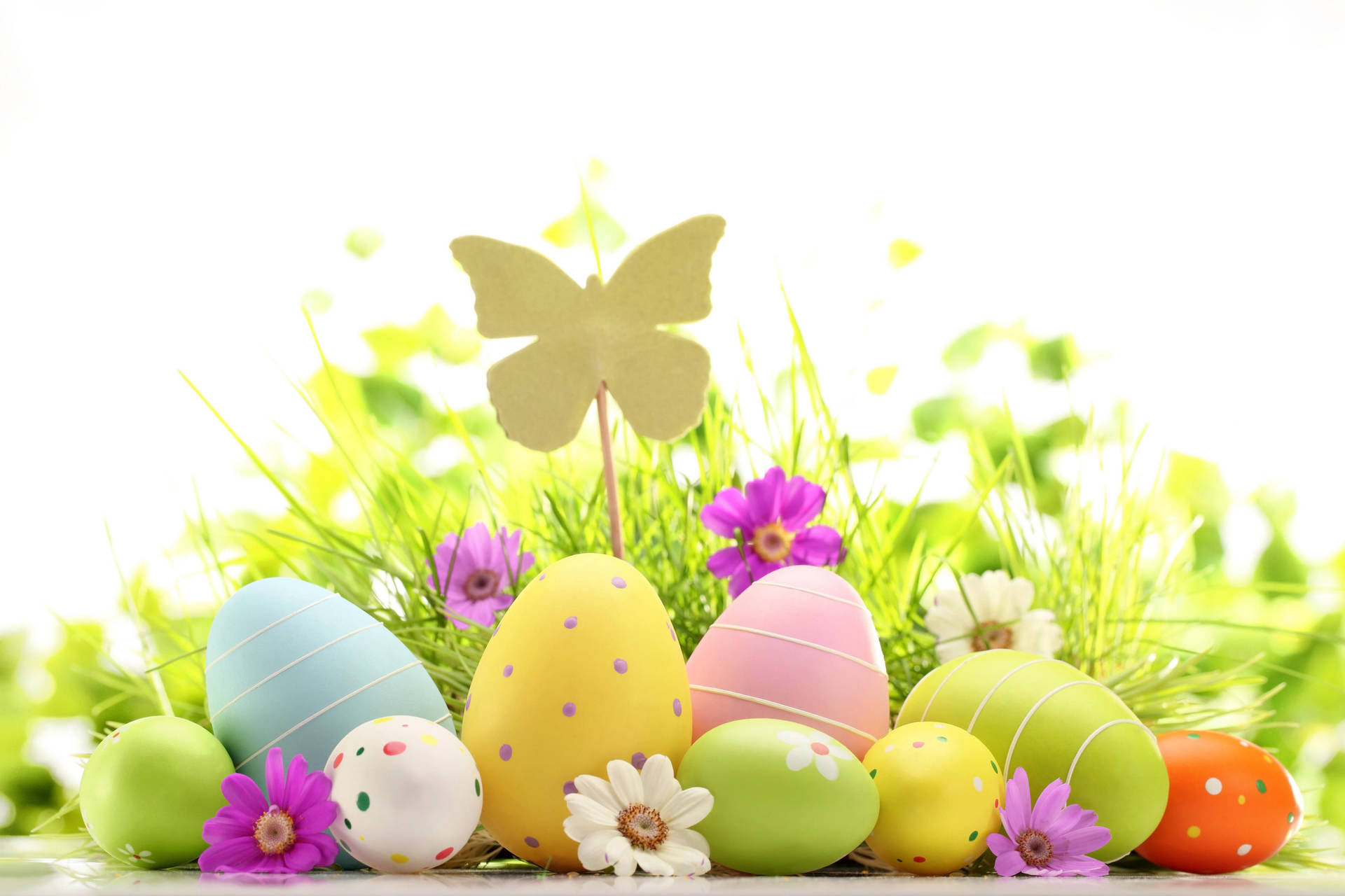 Download Cute Easter Eggs And Butterfly