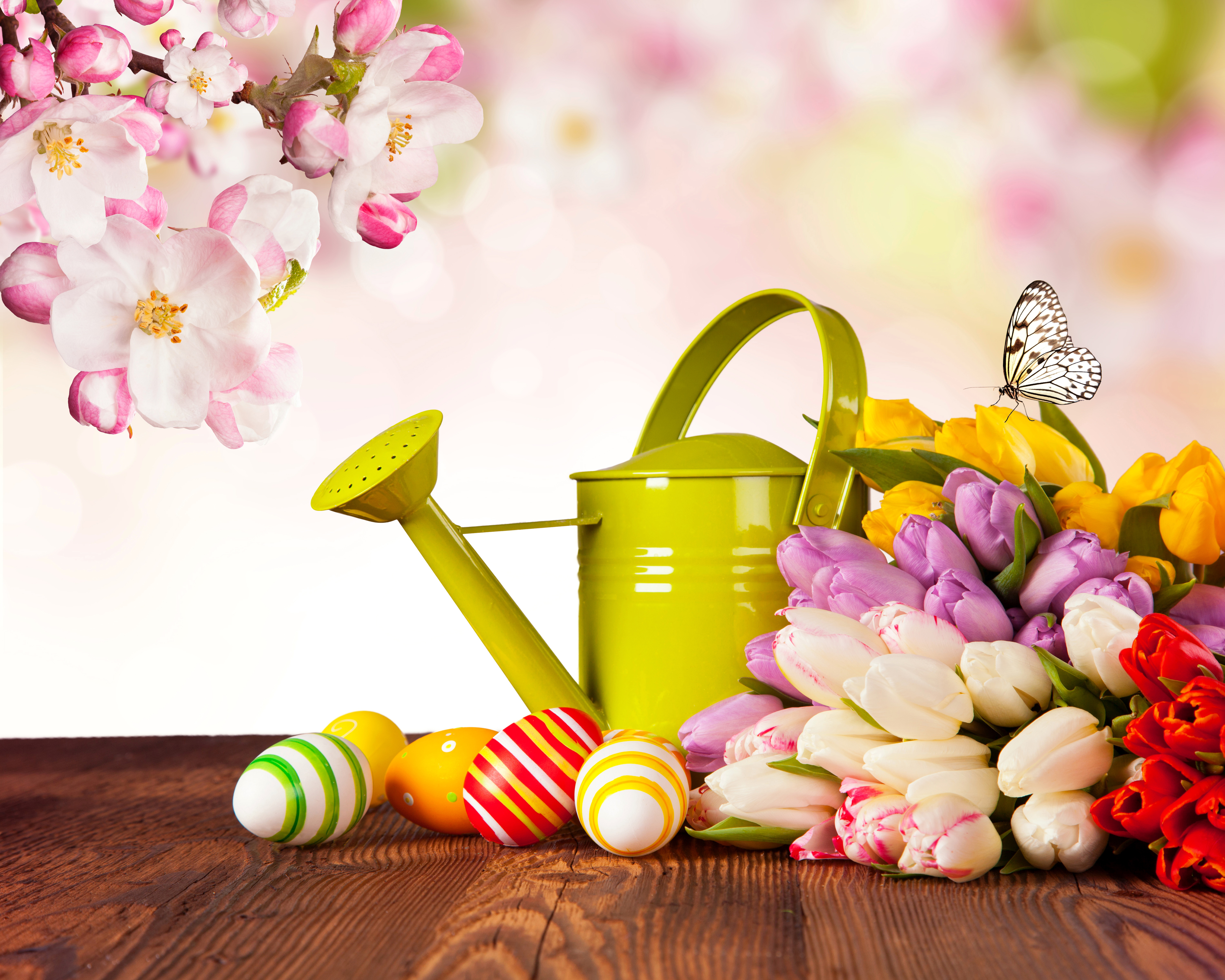 Photo Easter butterfly Eggs Tulips