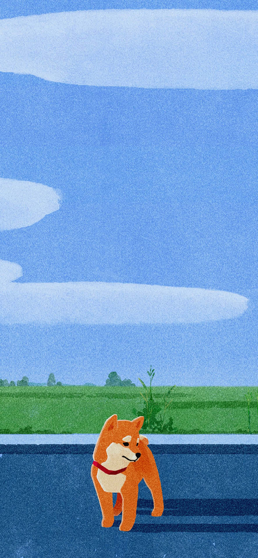 Dog iPhone Wallpaper