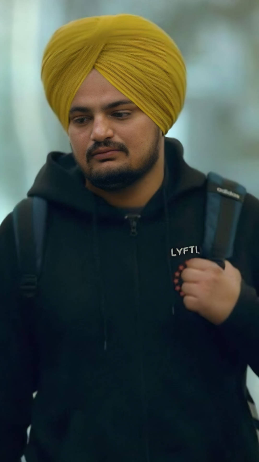 Am Student Movie Wallpaper