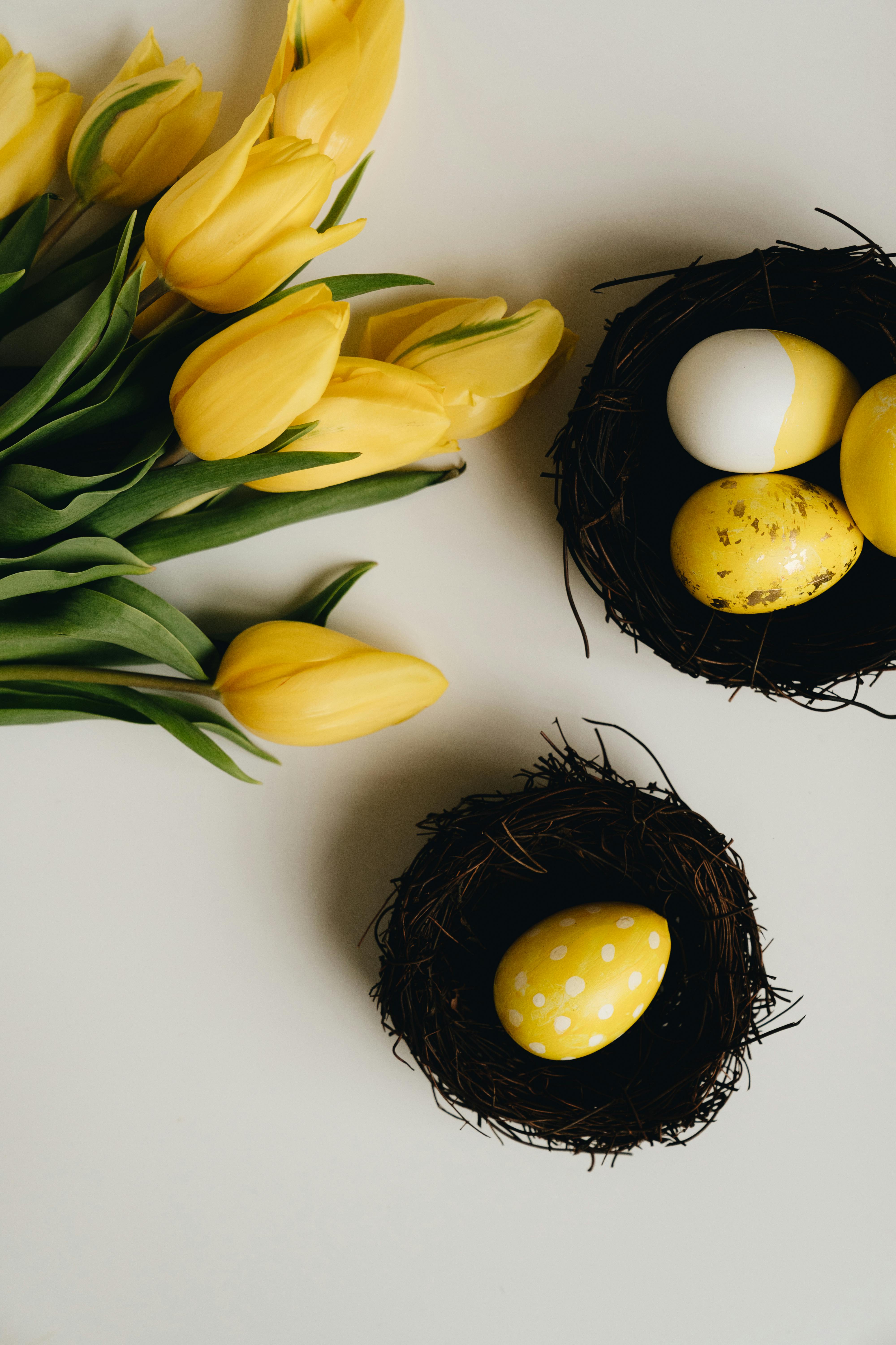 Easter Eggs beside Yellow Tulips