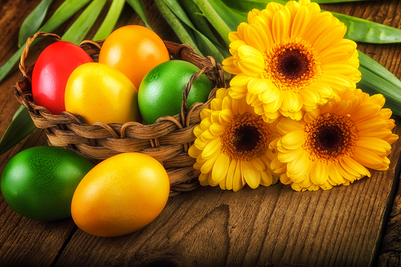 Photo Easter egg Yellow gerbera Flowers