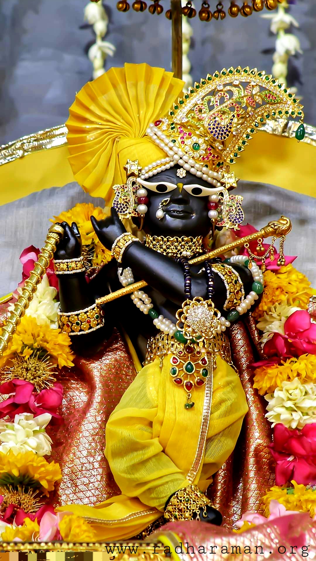Daily Darshan