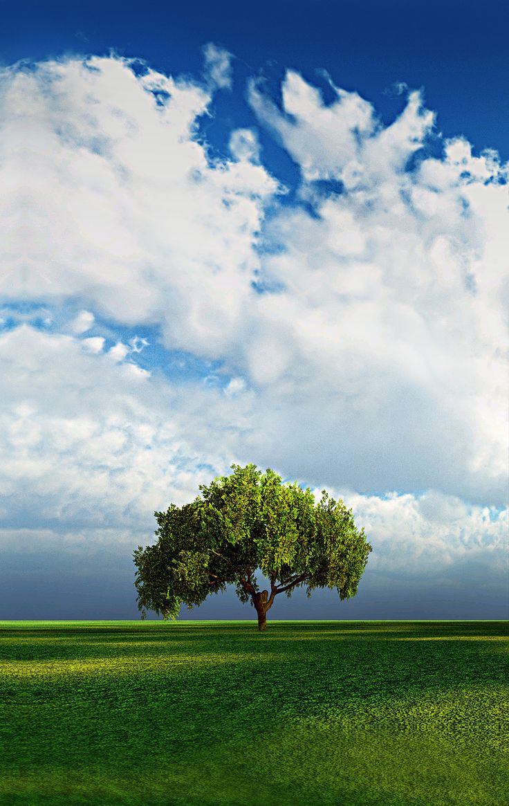 Vertical Wallpaper Image. Landscape