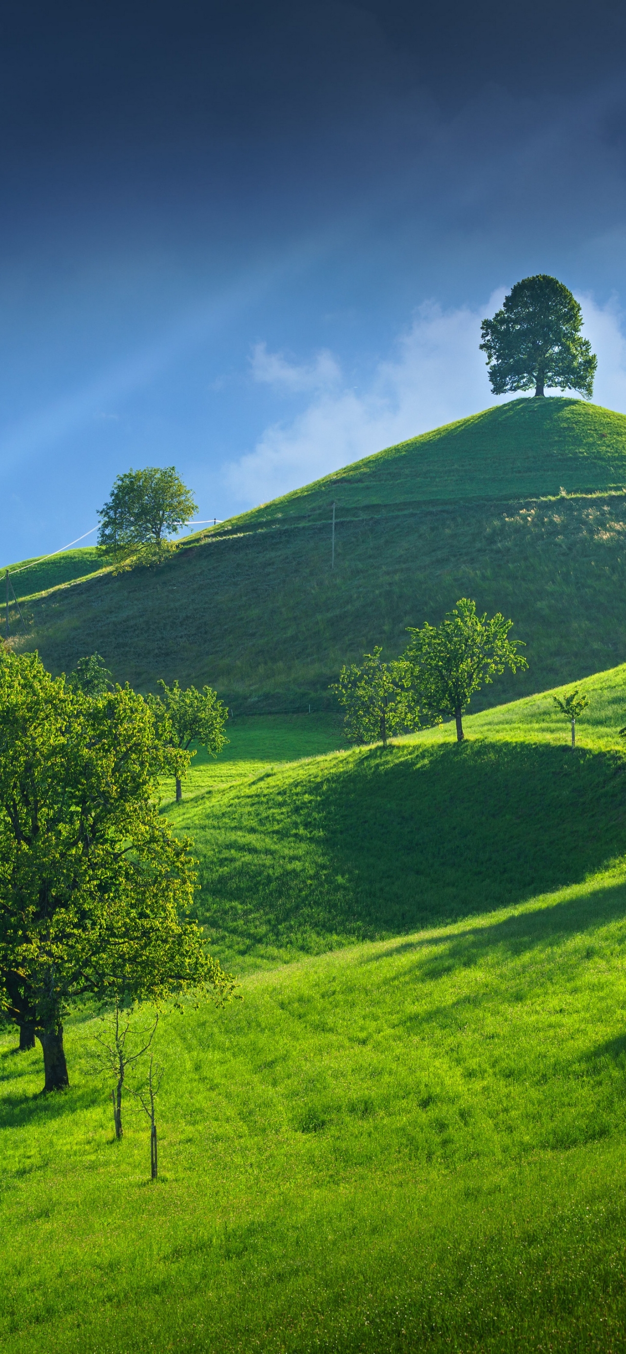 Landscape Phone Wallpaper