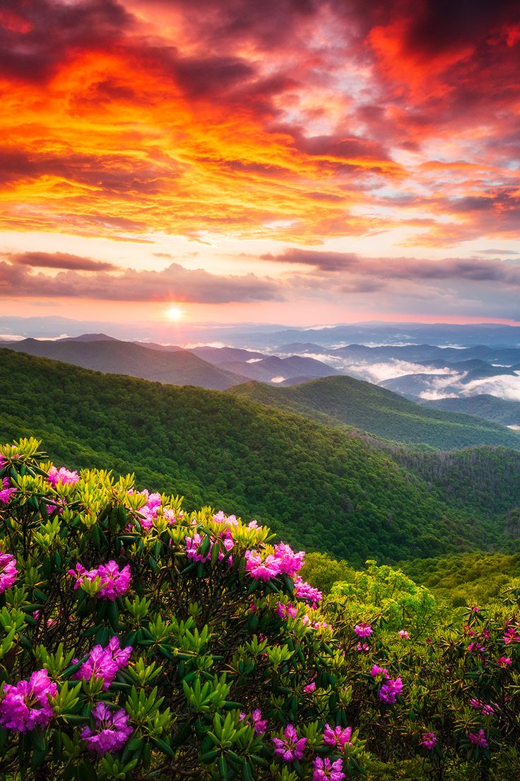 Sunset landscape photography