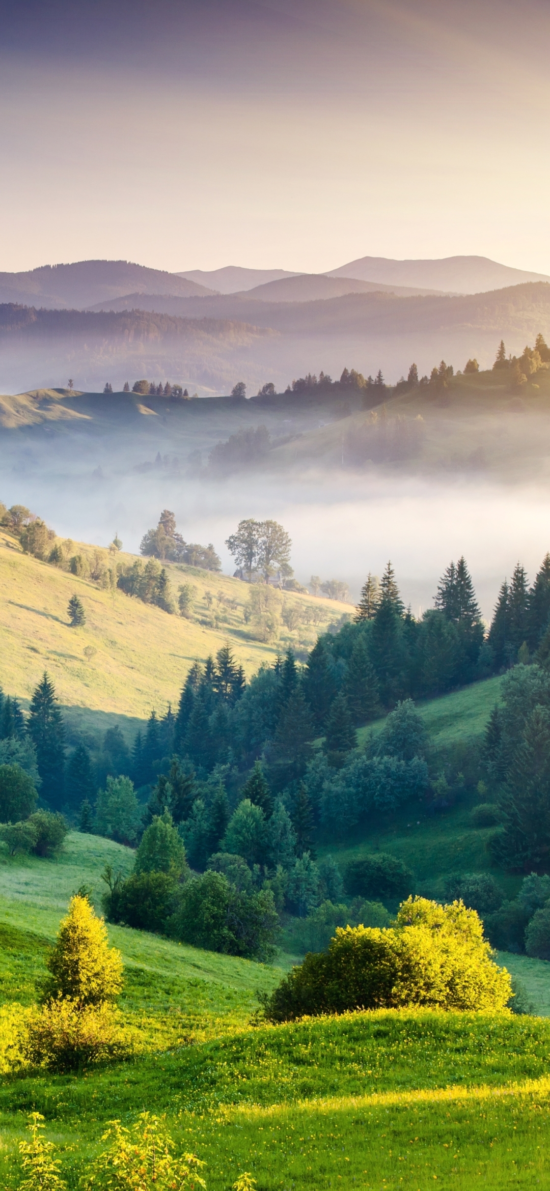 Landscape Phone Wallpaper