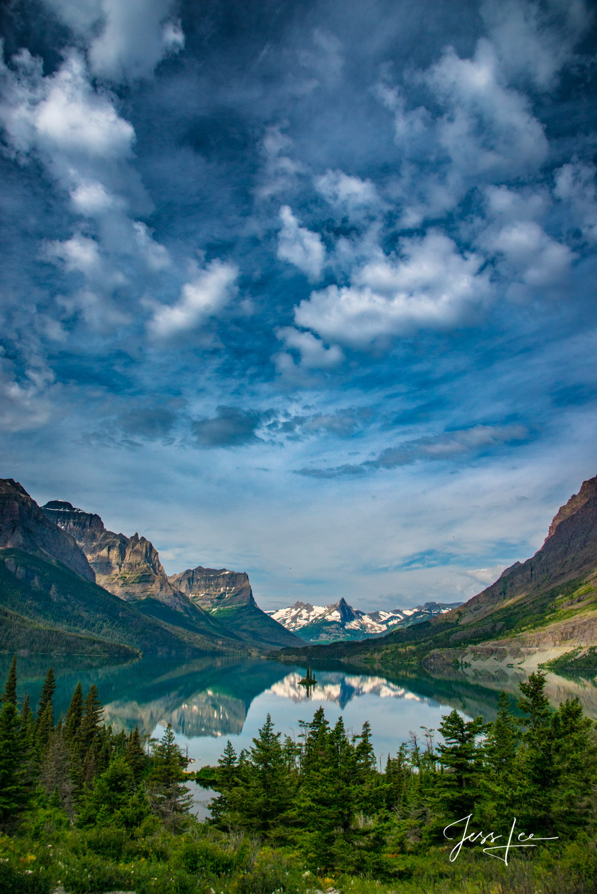 Vertical Landscape Photo. Large