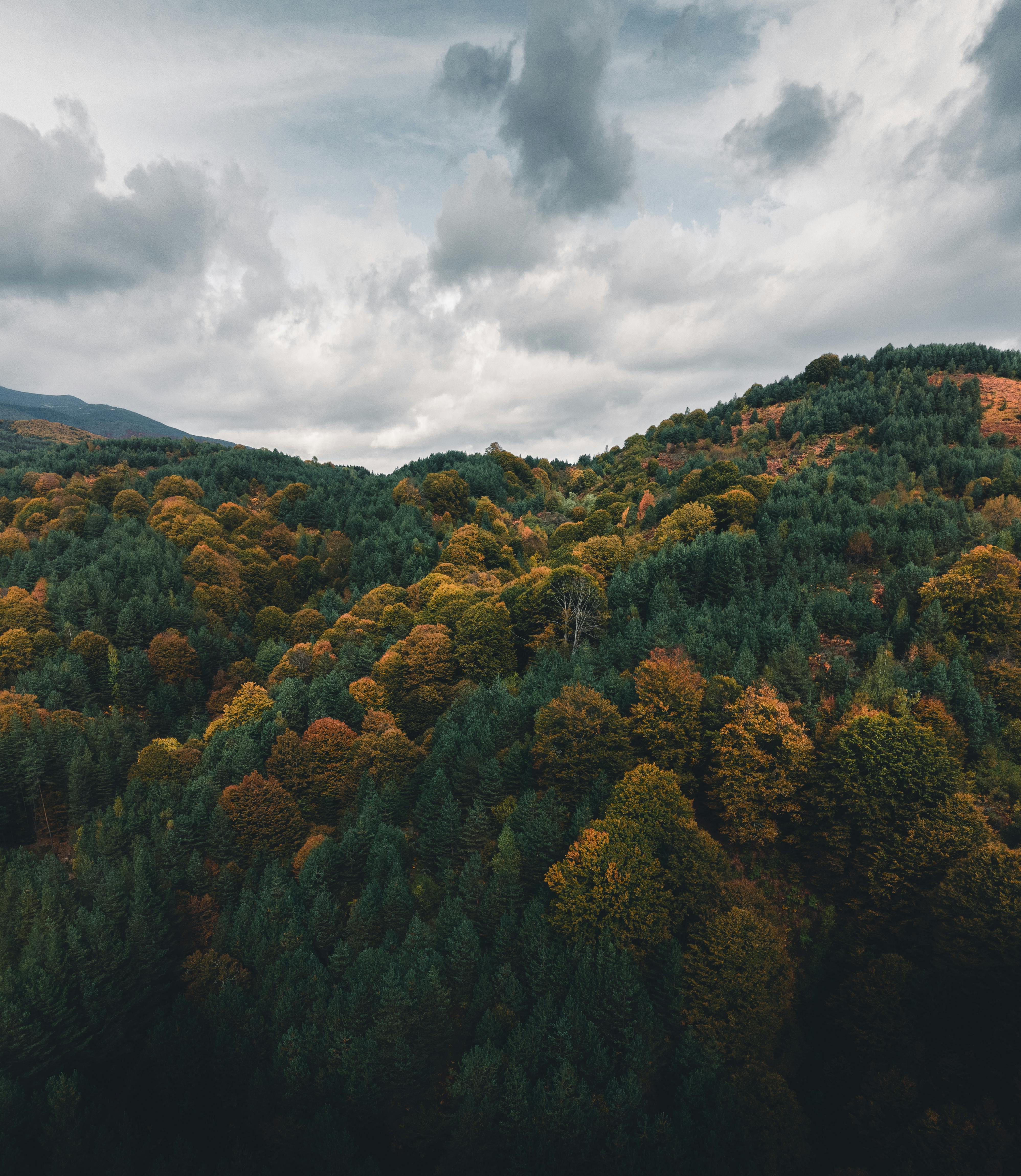 Drone vertical panorama of beautiful