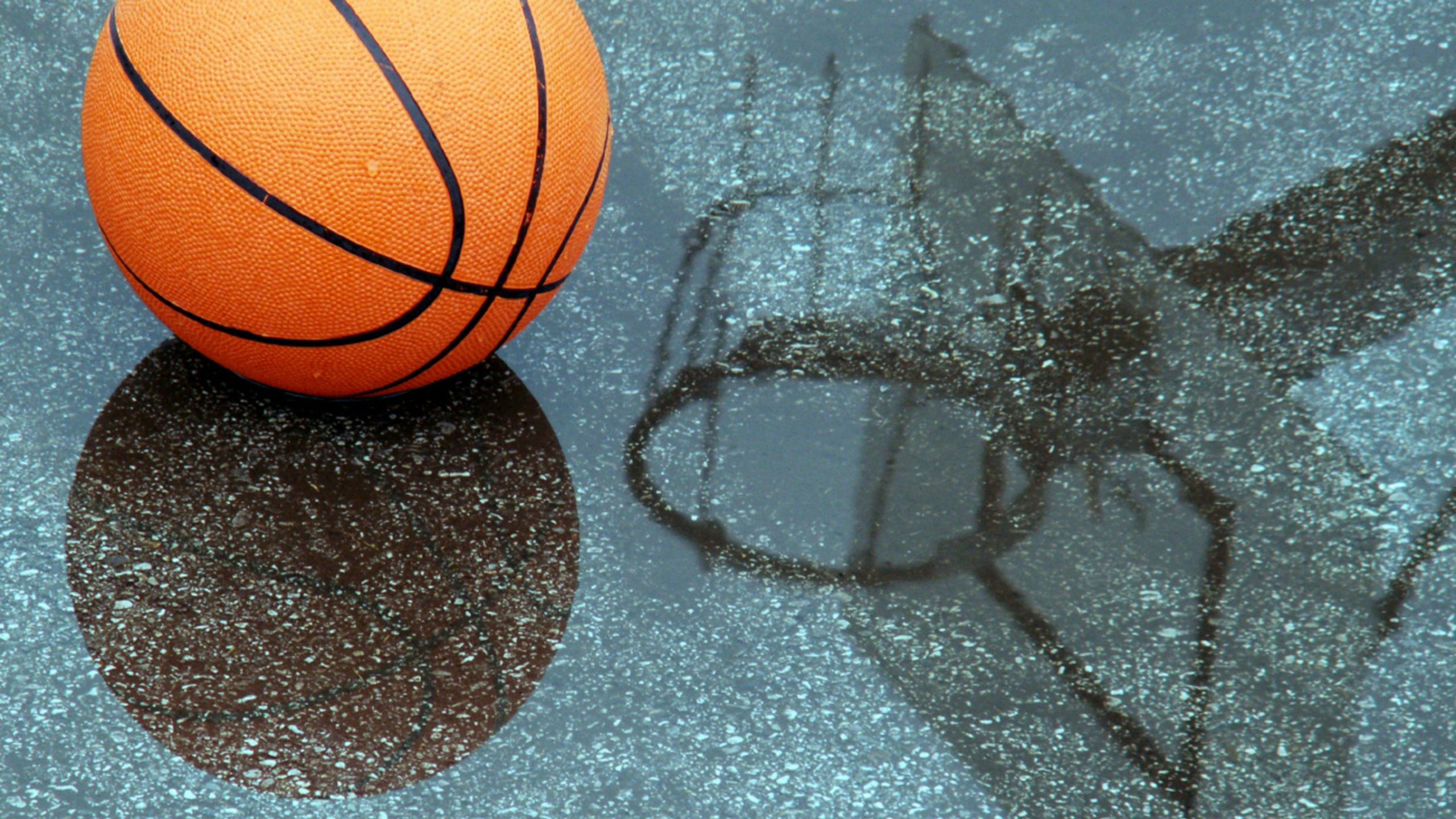 Download wallpaper 2560x1440 basketball