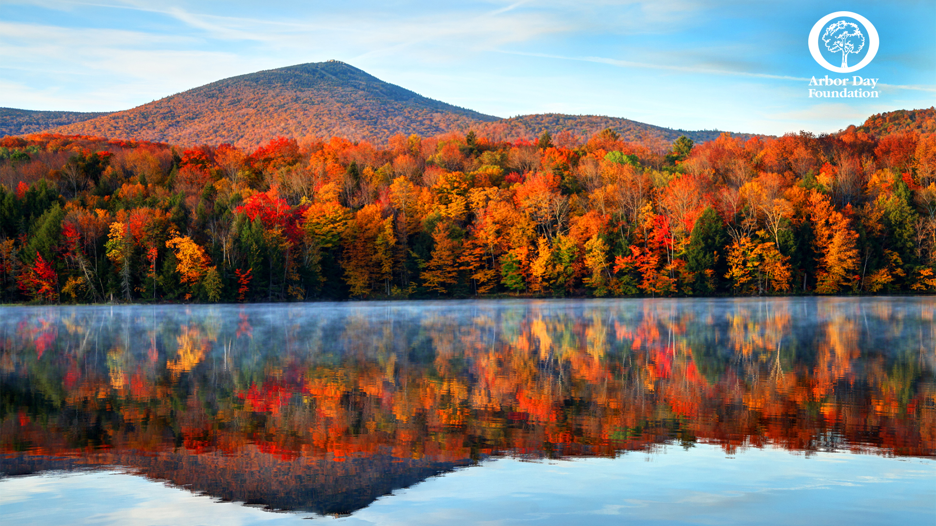 Virtual Background at arborday.org