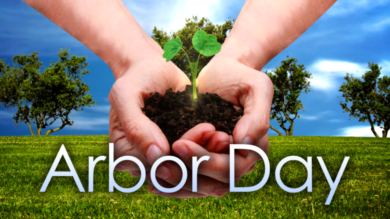 Friday Is National Arbor Day