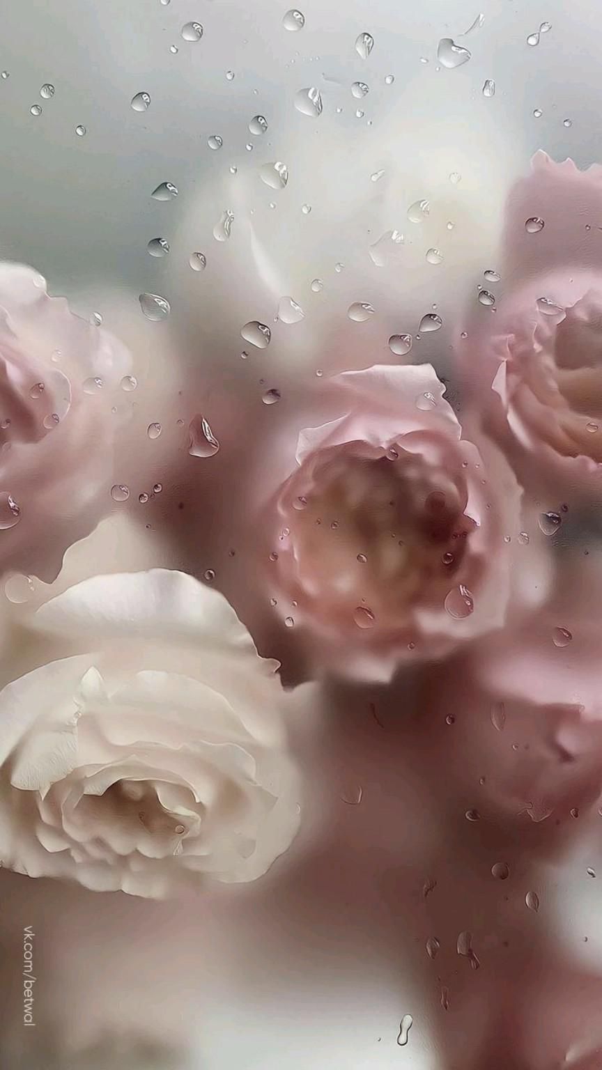 water drop flowers. Floral wallpaper