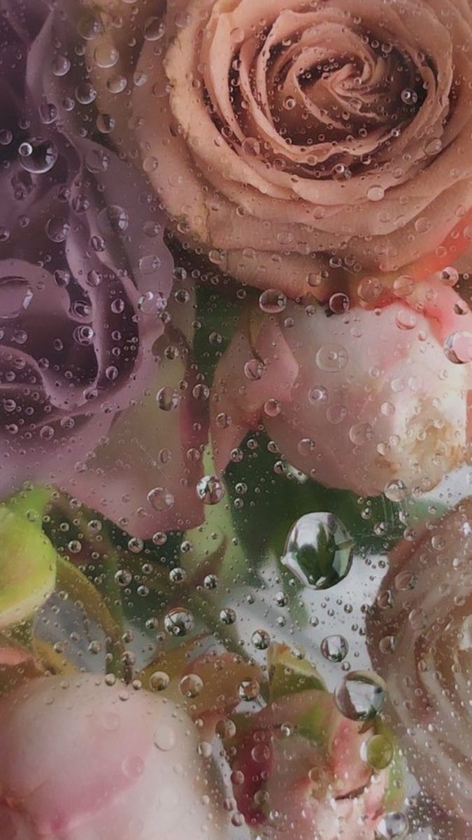 Wallpaper. Цветочные фоны, Цветочные