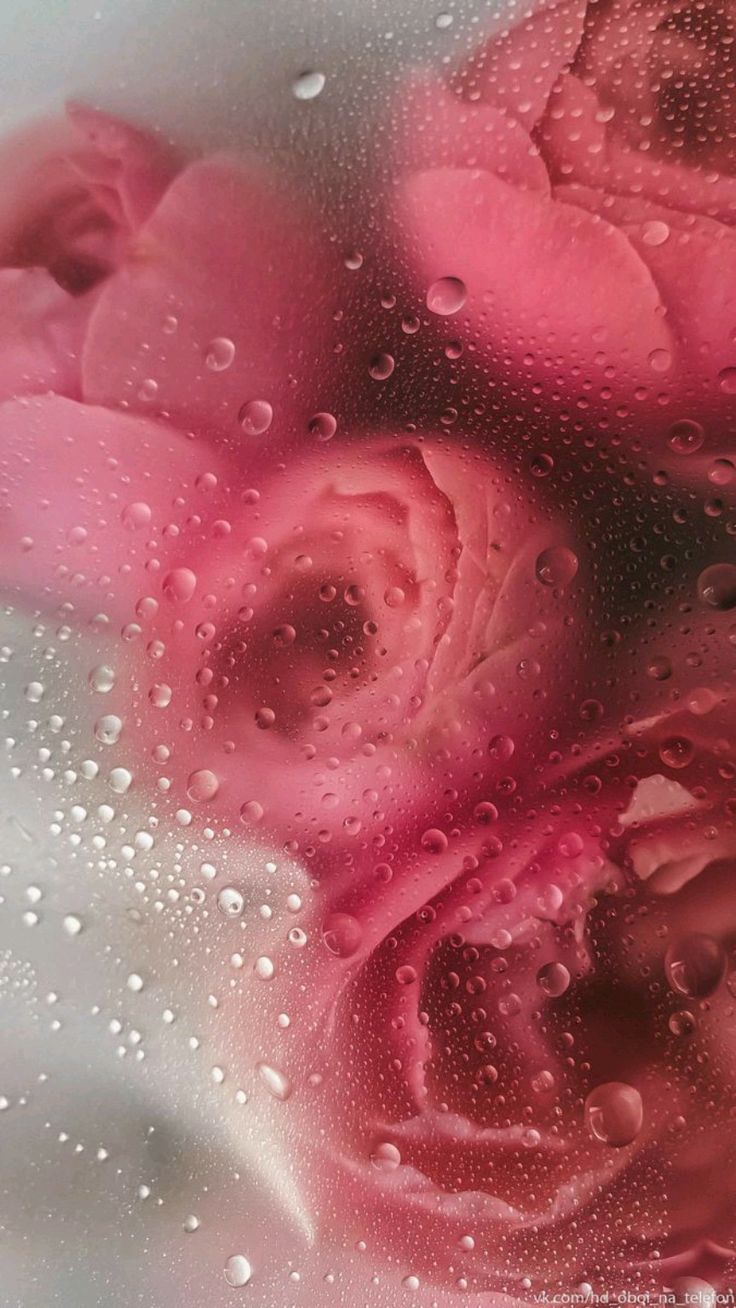 water drop flowers. Floral wallpaper