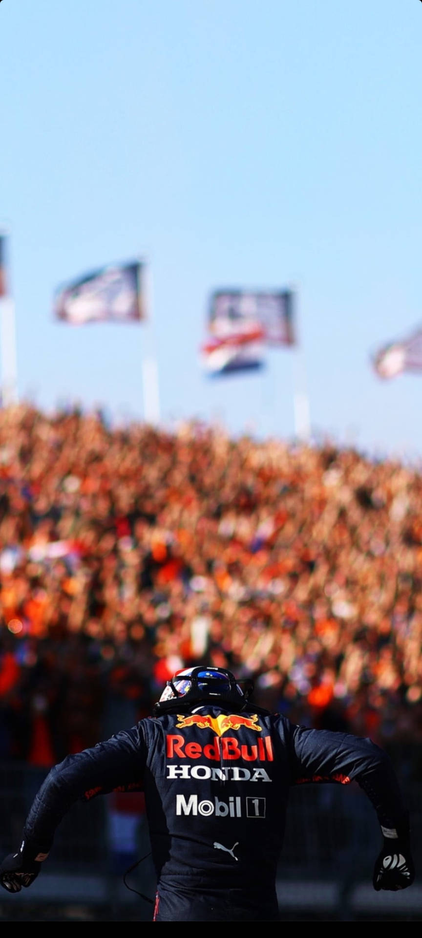 Download F1 Max Verstappen Dutch Gp