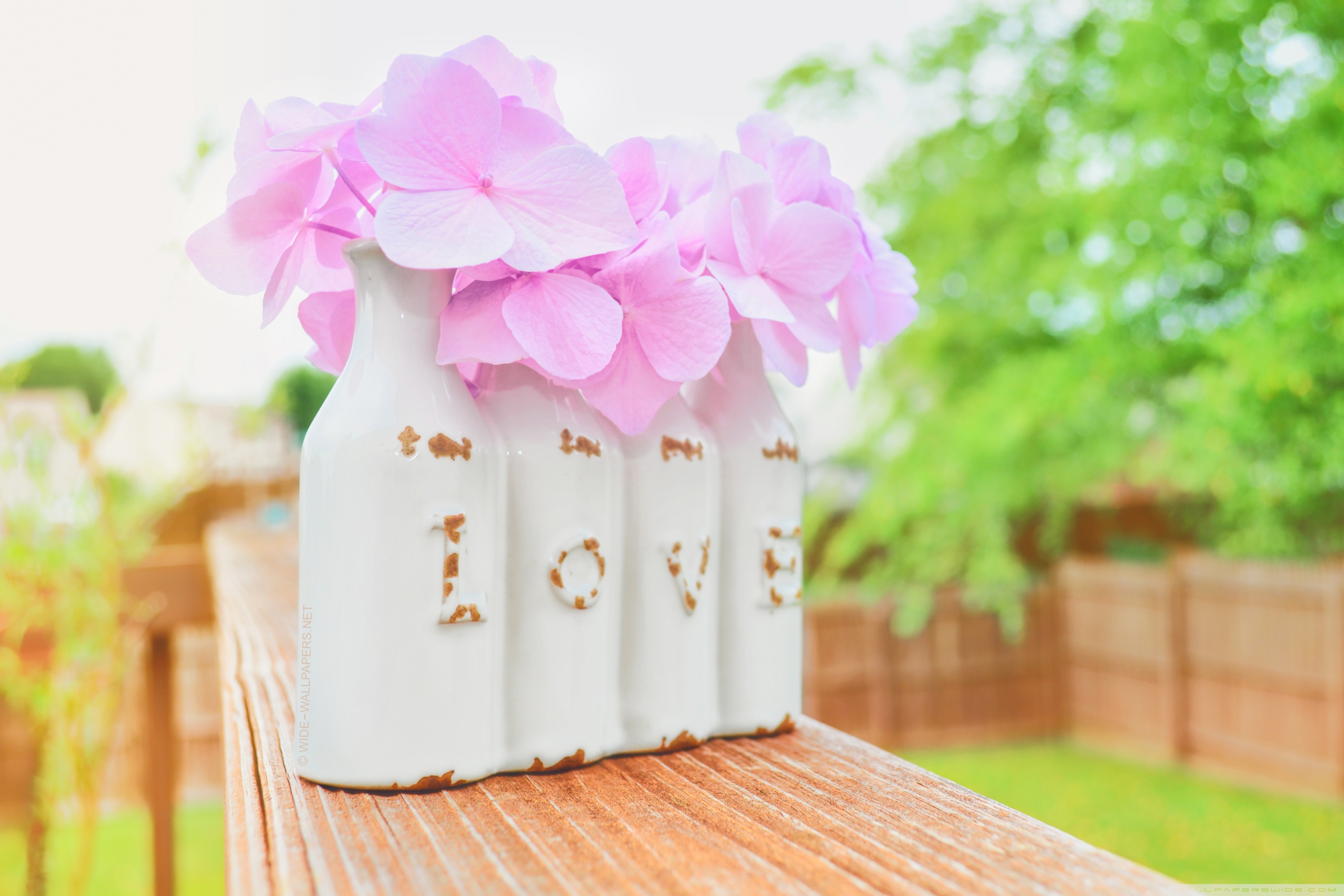 Desktop Background Wallpaper